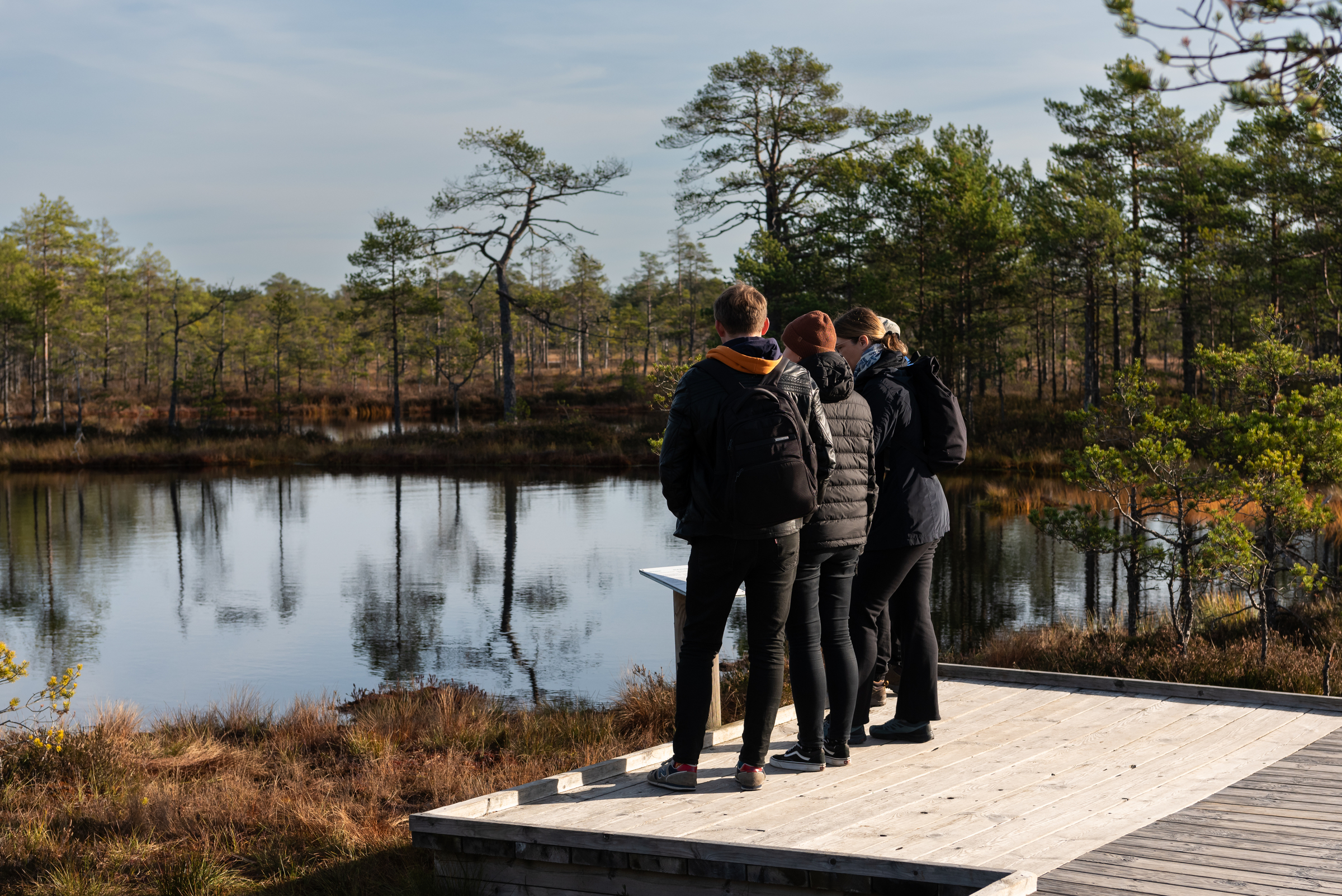 Viru bog observation