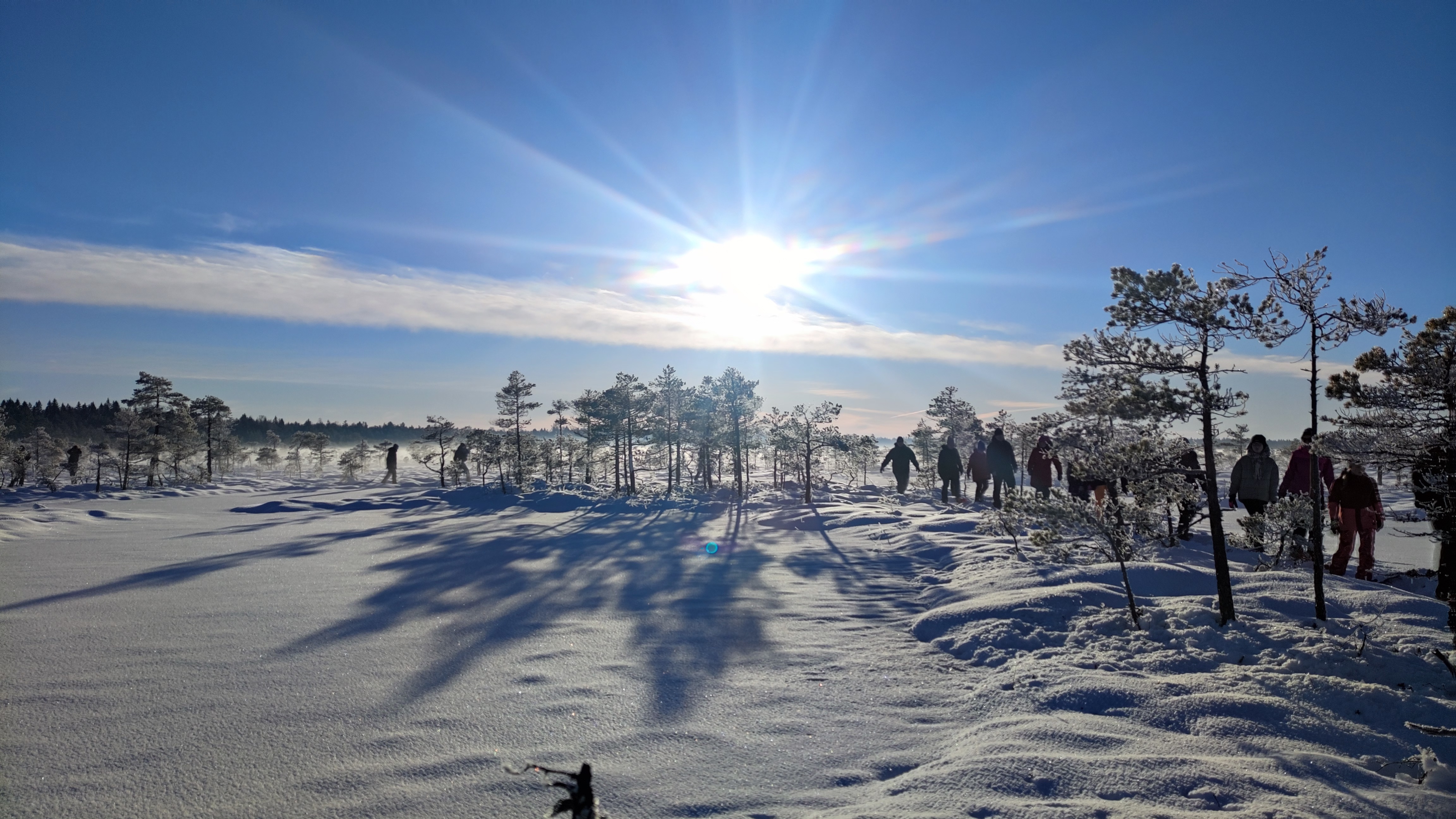 During winter season, it is exciting to go with snowshoes or kicksleds to hike into the forest, swamps, ponds or across lakes. A discovery trip is not