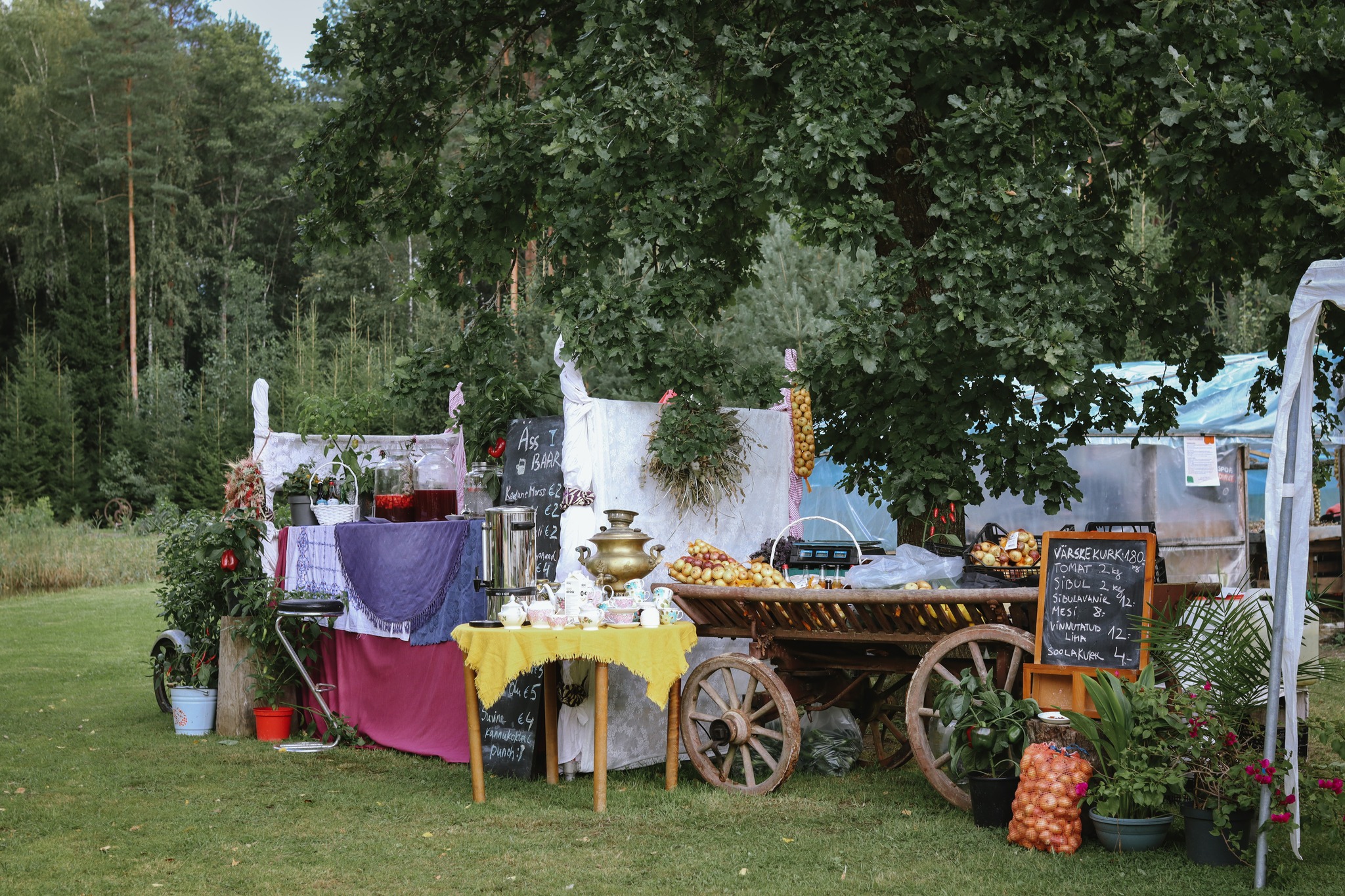 Speisen auf der Foodstreet am Peipussee (175 km)