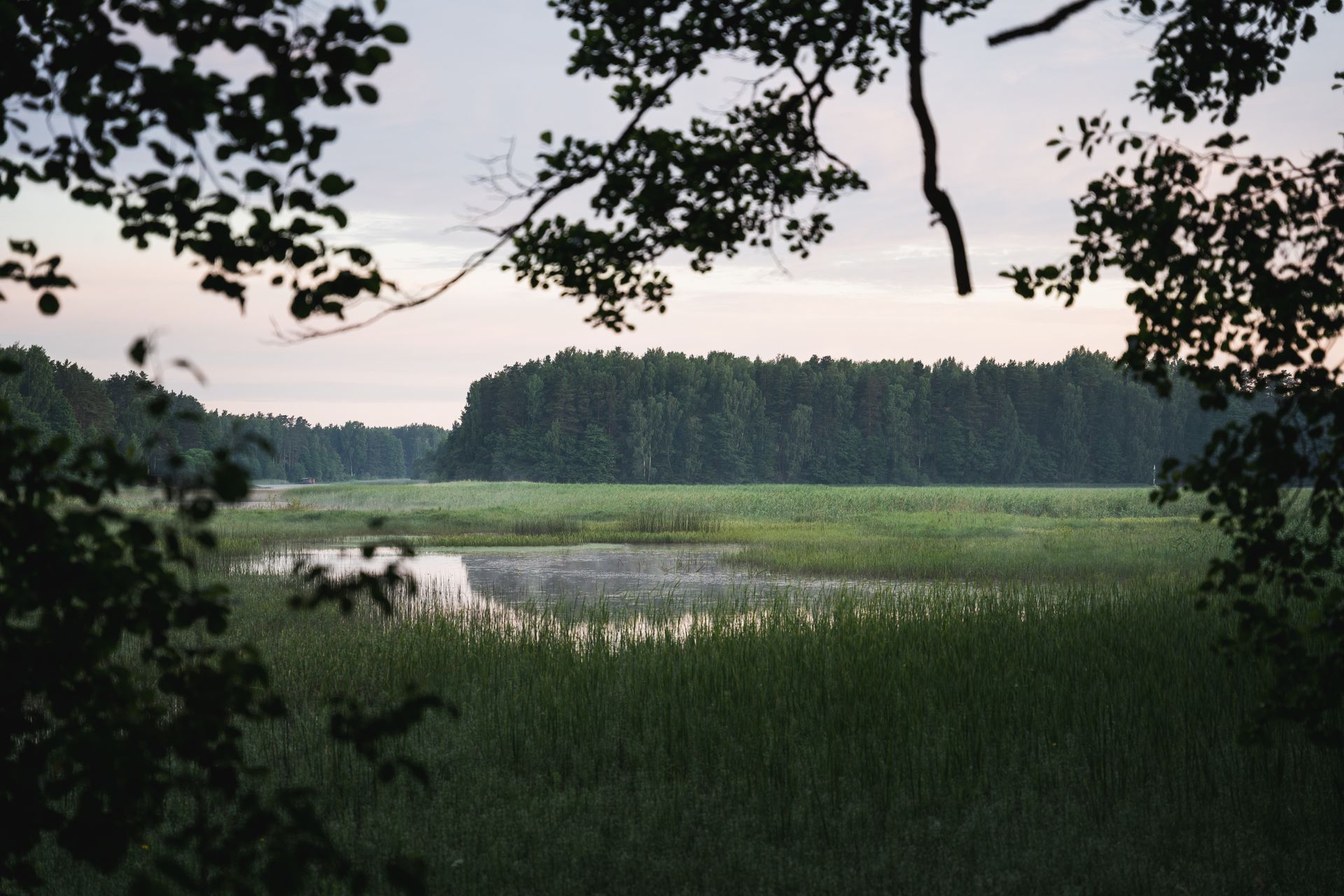 Õrsava järv