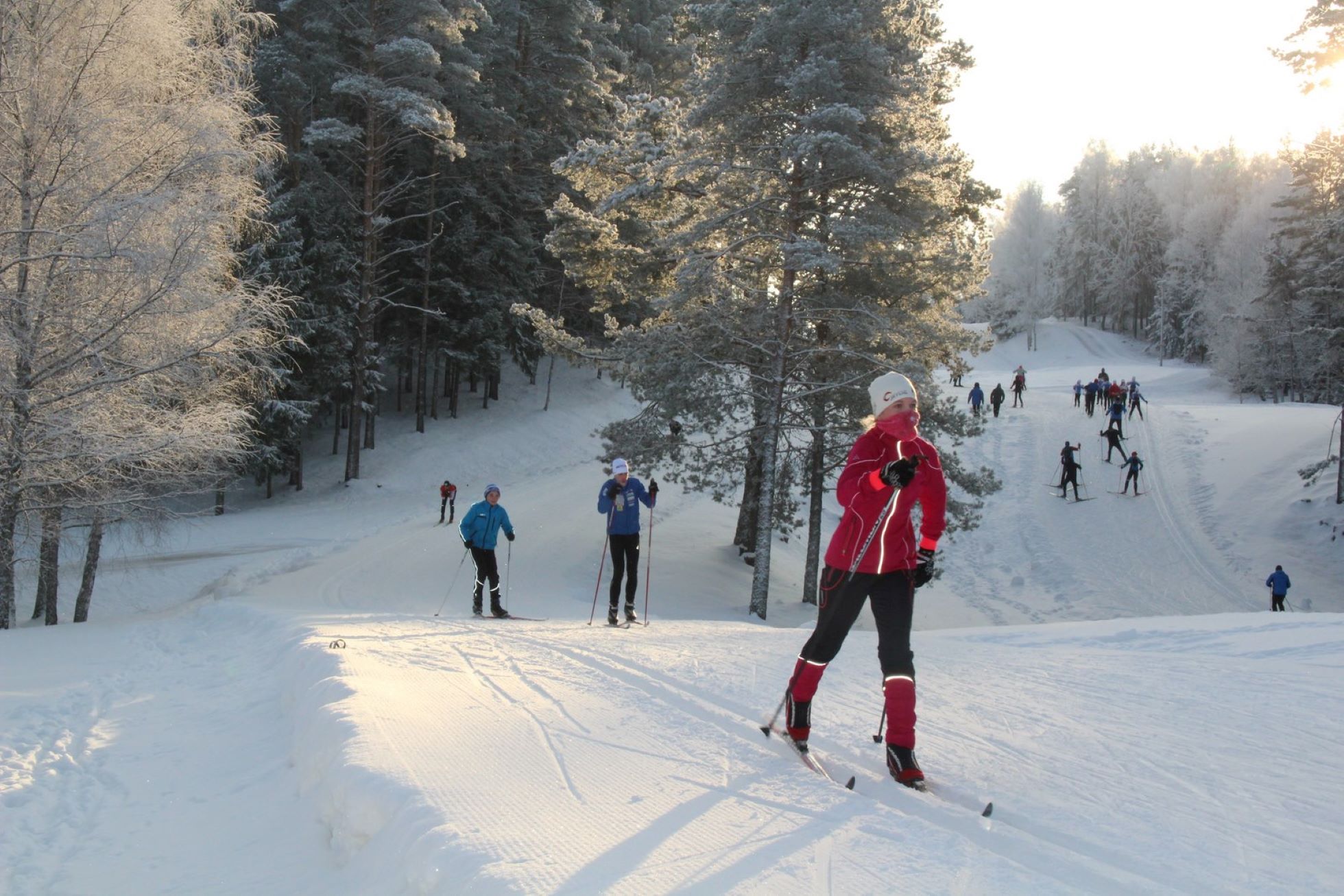 The relief of the 10 km ski track of Tehvandi Sports Centre is easy and invites you to ski classic style or freestyle. The tracks starts from the Tehv