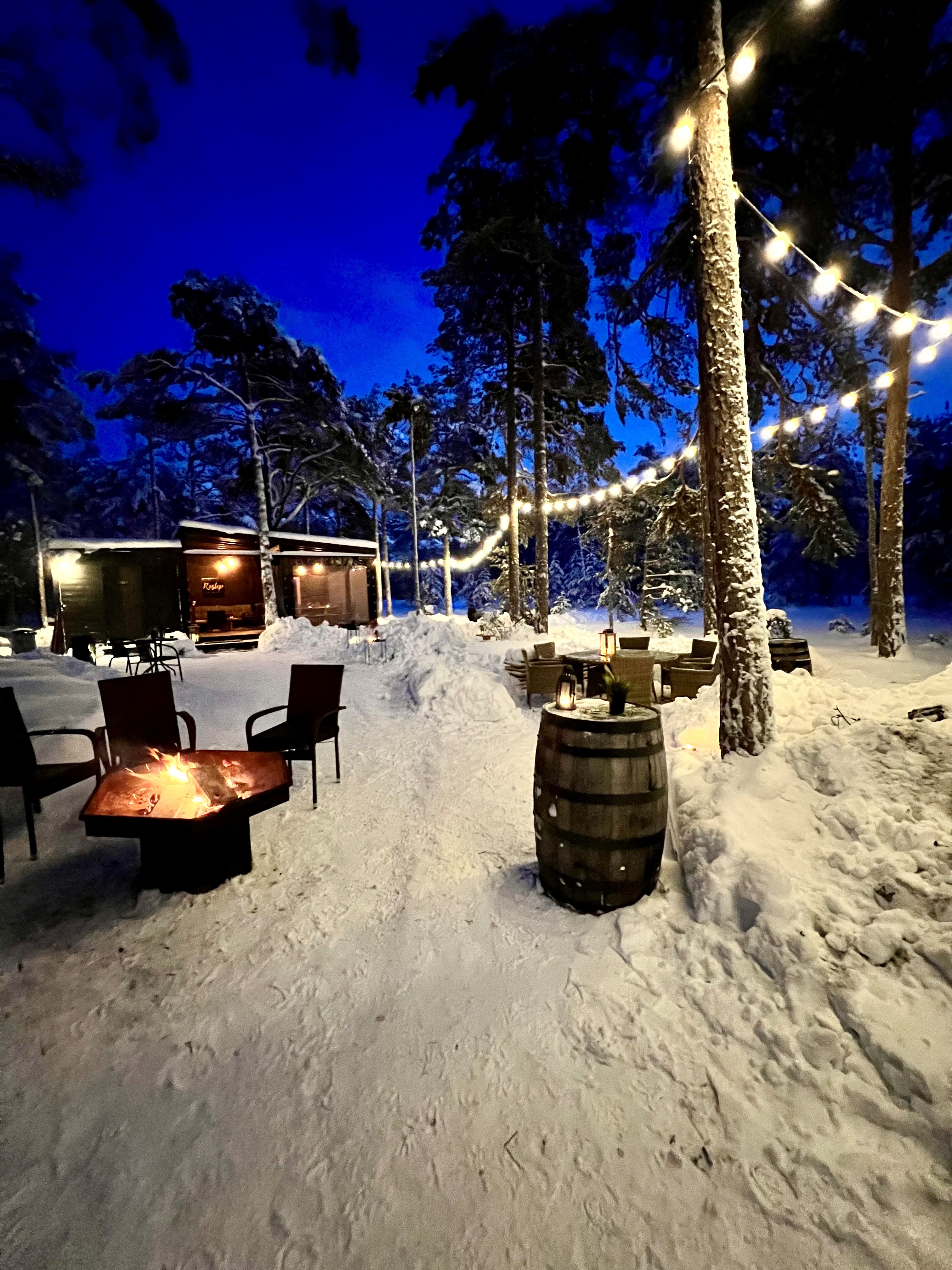 Talv ja imeline loodus ja avatud Metsabaar ning soe lõke