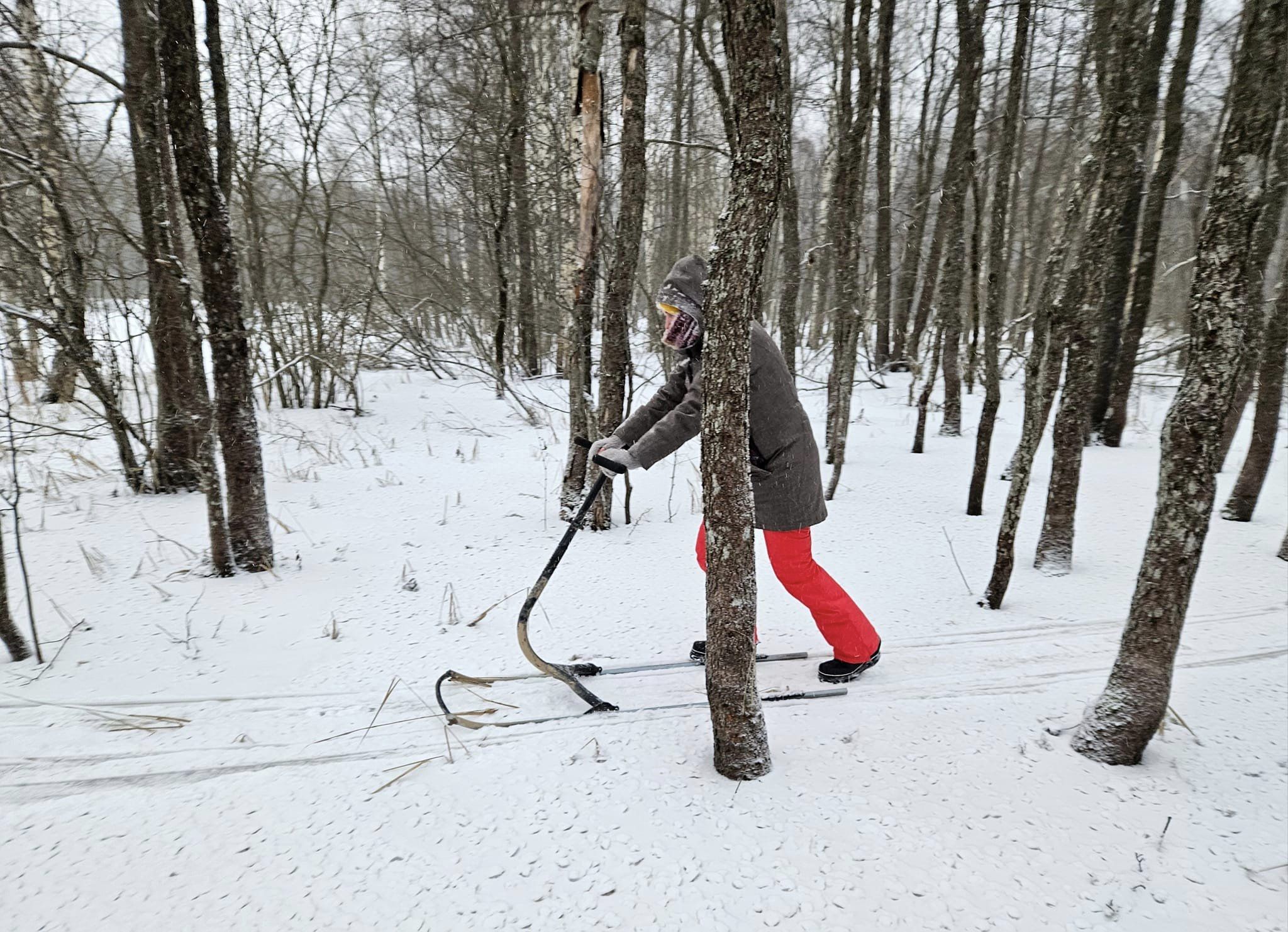 Tõukekelguga rabas