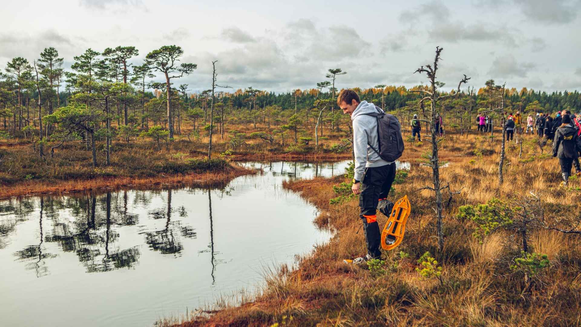 Bogshoe hike in Kõnnu Suursoo