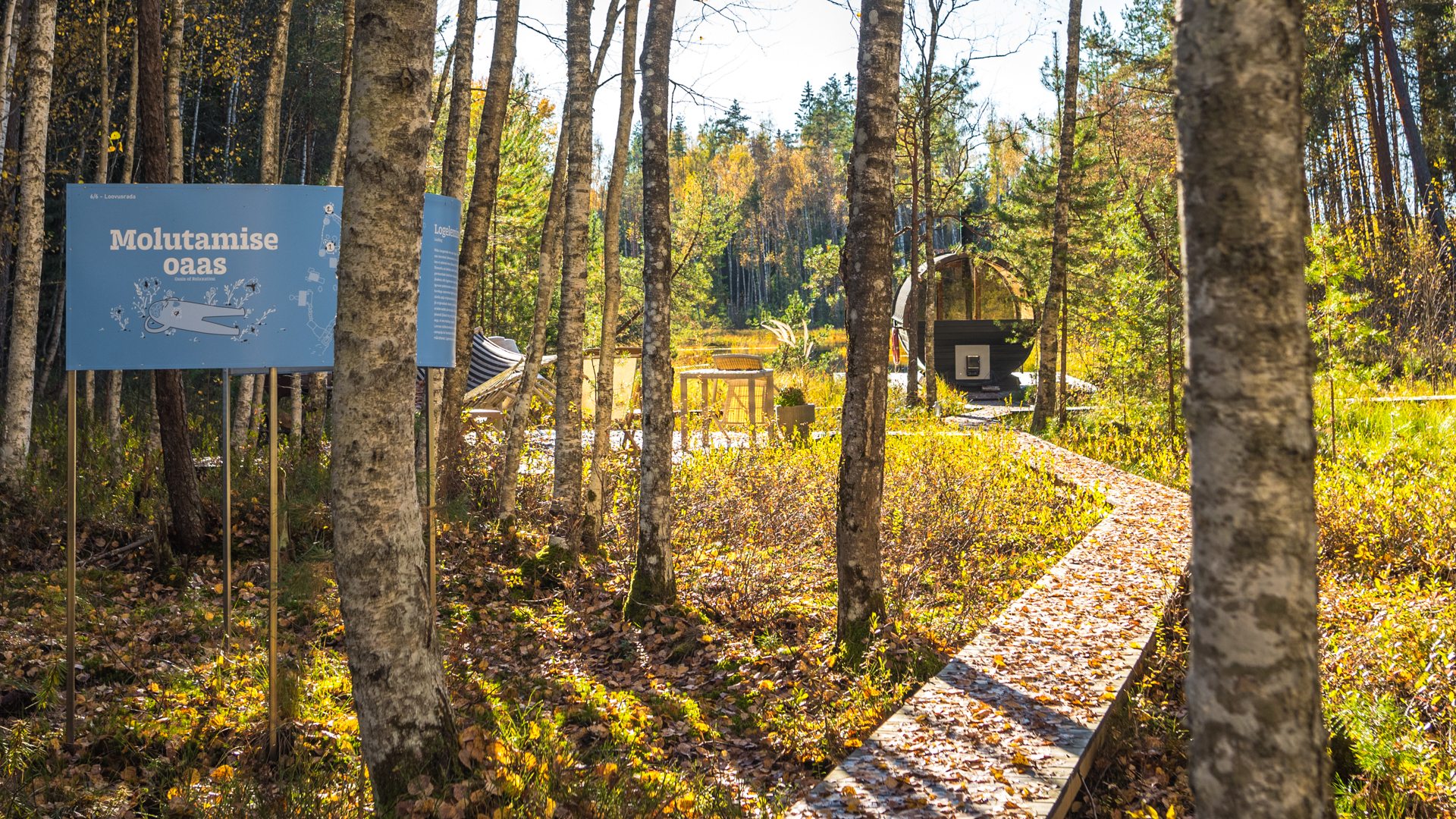 saunas on the shores of a bog lake