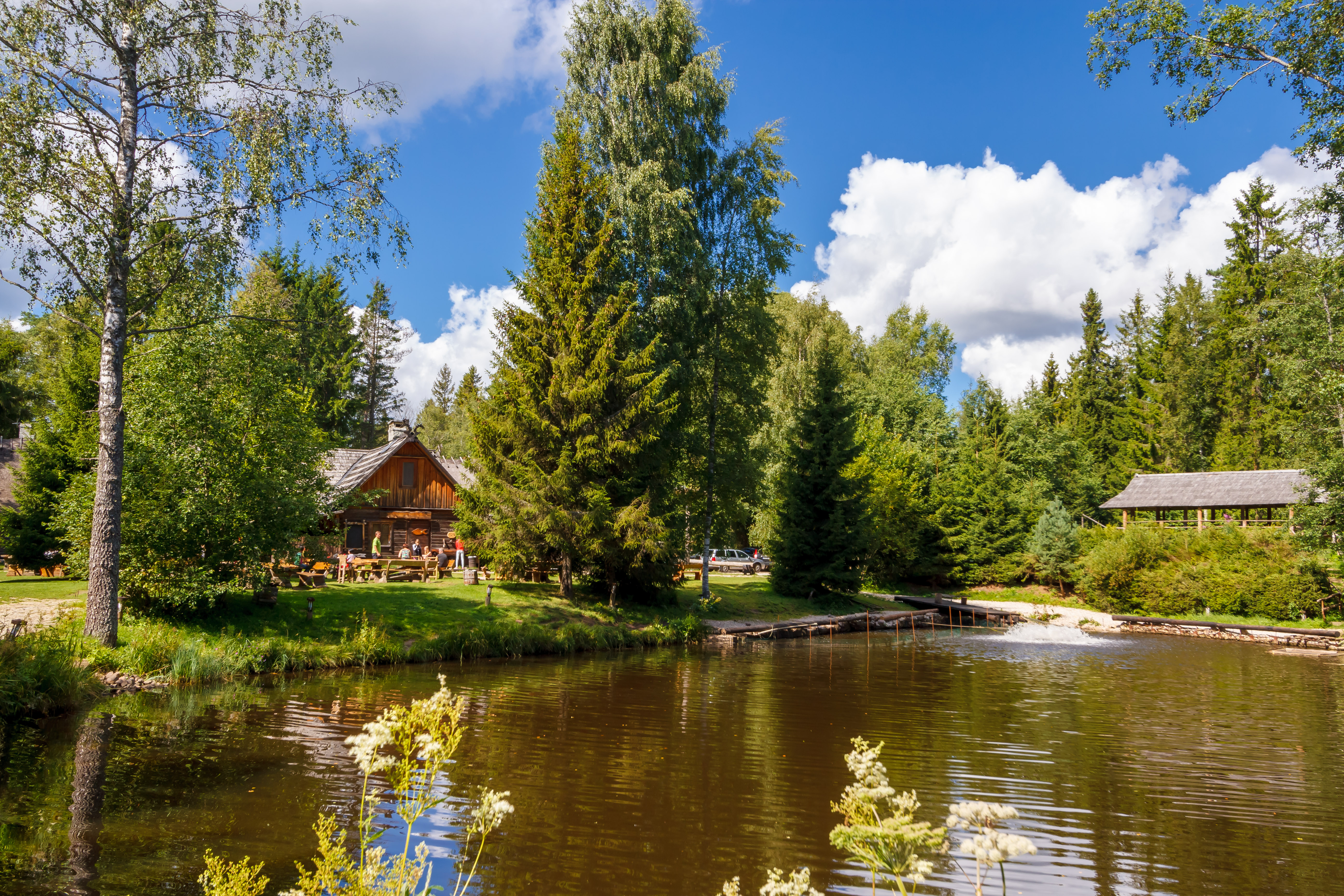 Fish pond in the Viking village