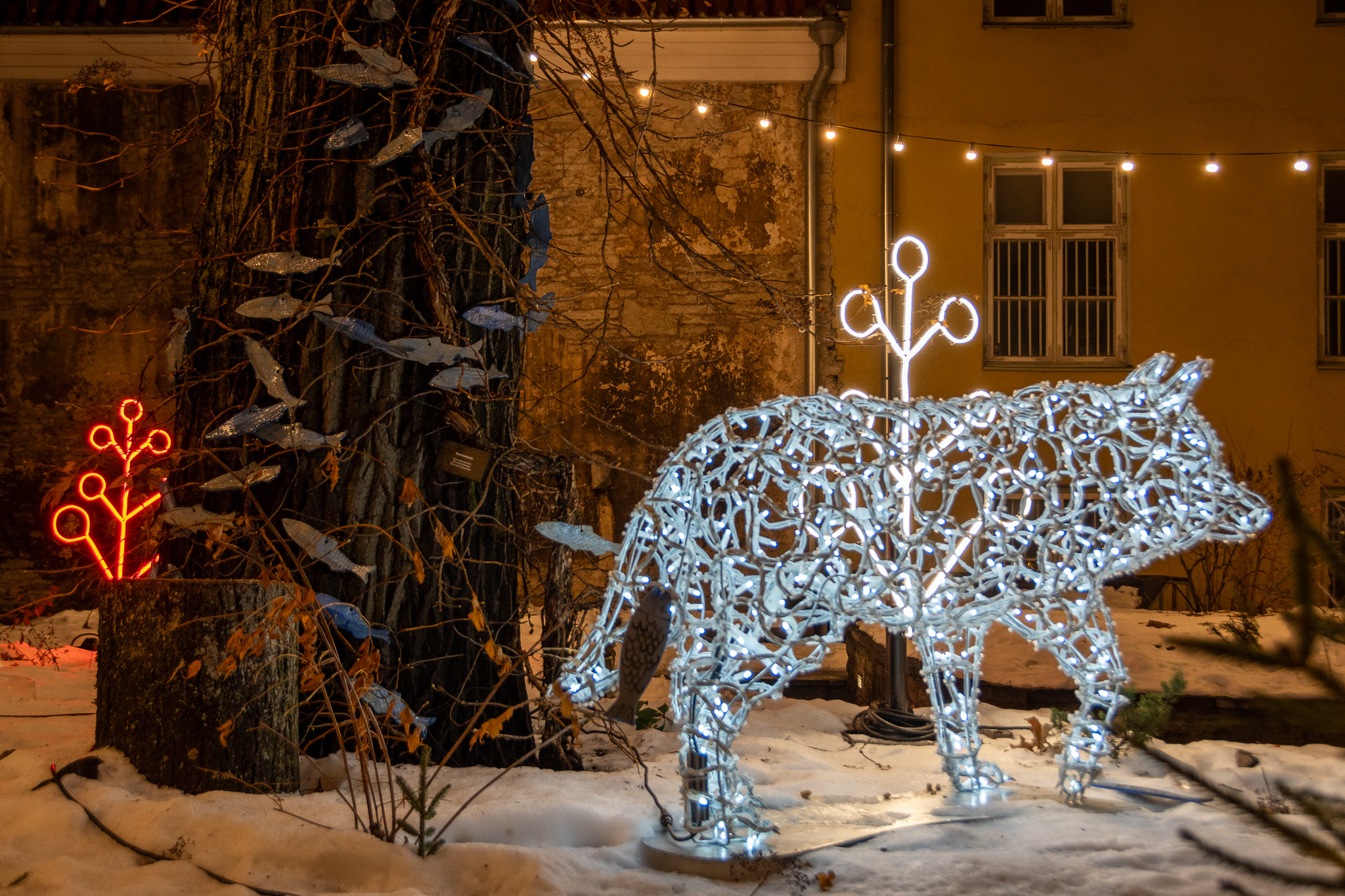 Sākot ar otro Adventi, ar gaismas un skaņas instalāciju palīdzību tiek iedzīvinātas iemīļotās pasakas, kas kopumā rotā septiņus vecpilsētas pagalmus u