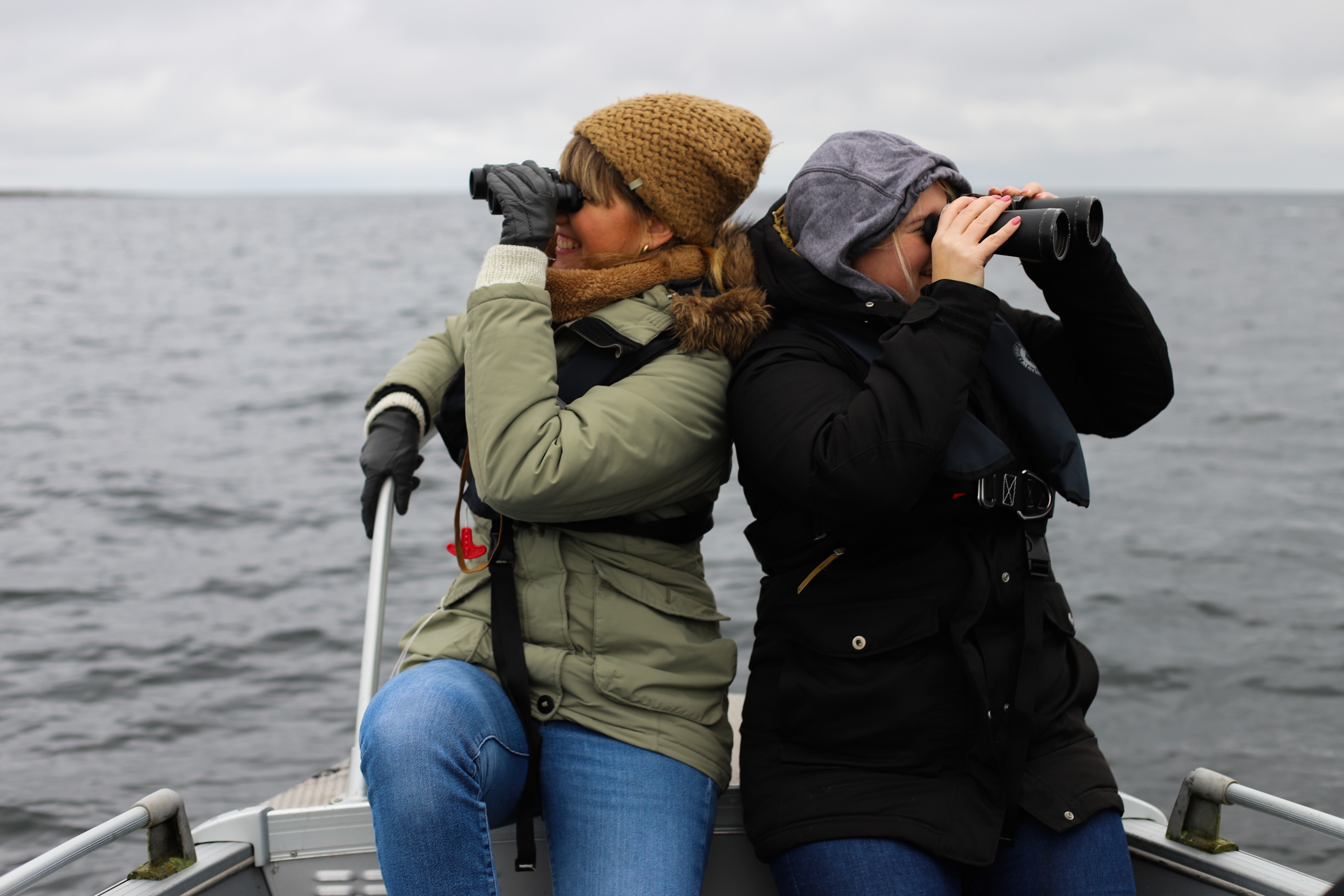 Seal-watching with binoculars