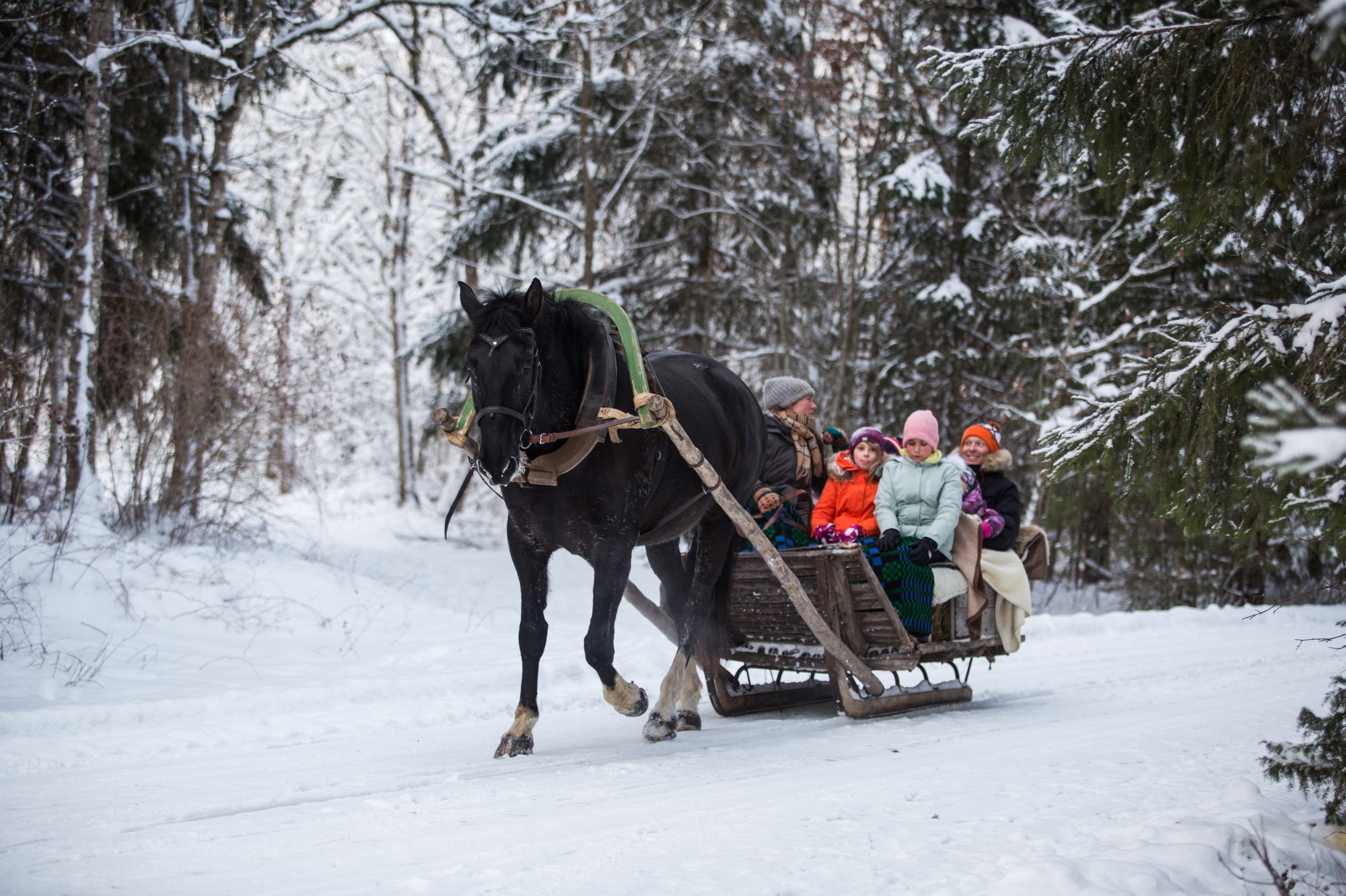 Brauc uz Jūrimā un baudi ziemas priekus! Igauniju rotā bieza sniega sega, un meži atrodas zem maģiski balta sniega kupenām. Piedāvājam relaksējošu paj