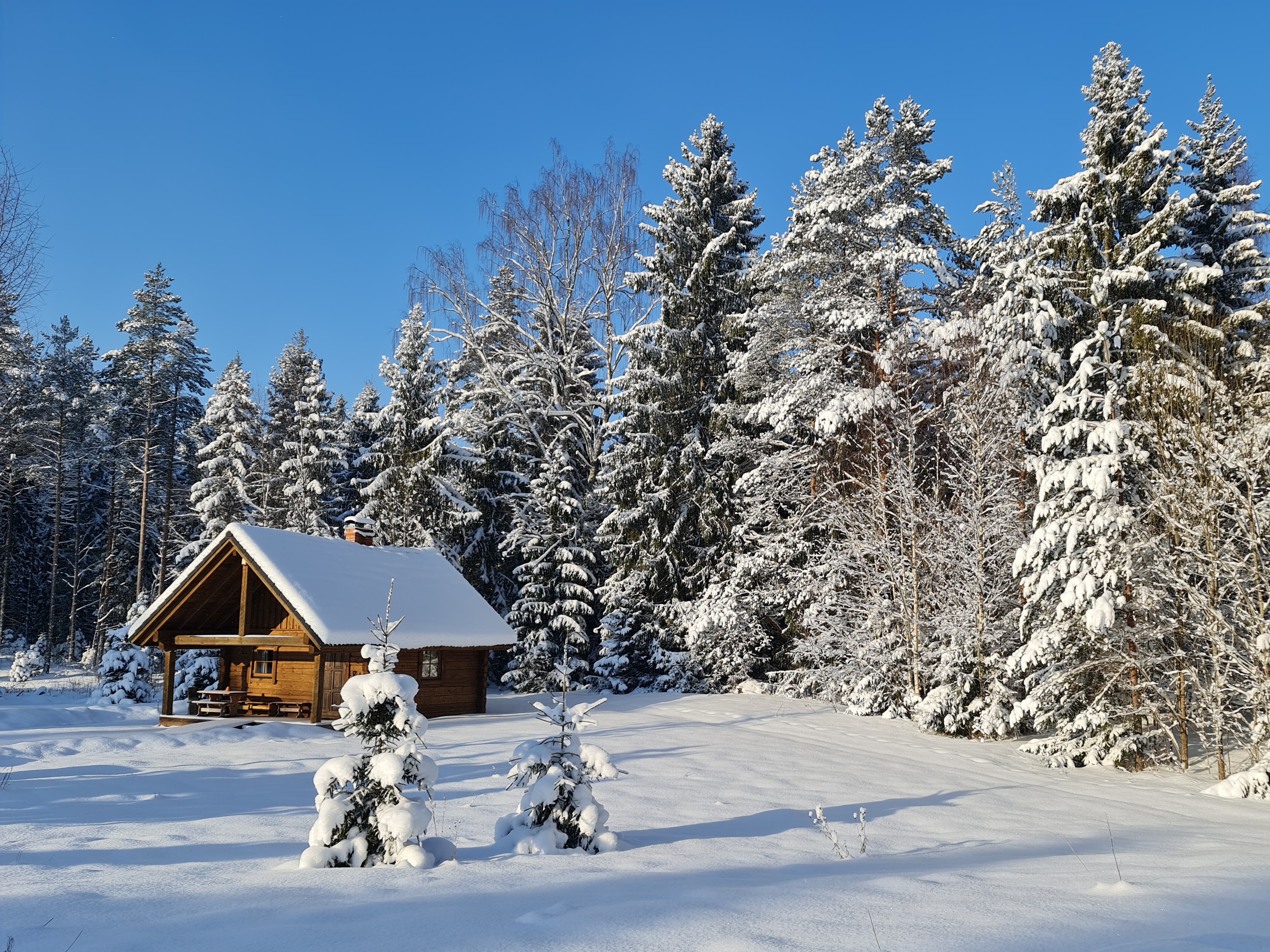 Tõrvaaugu metsamajad