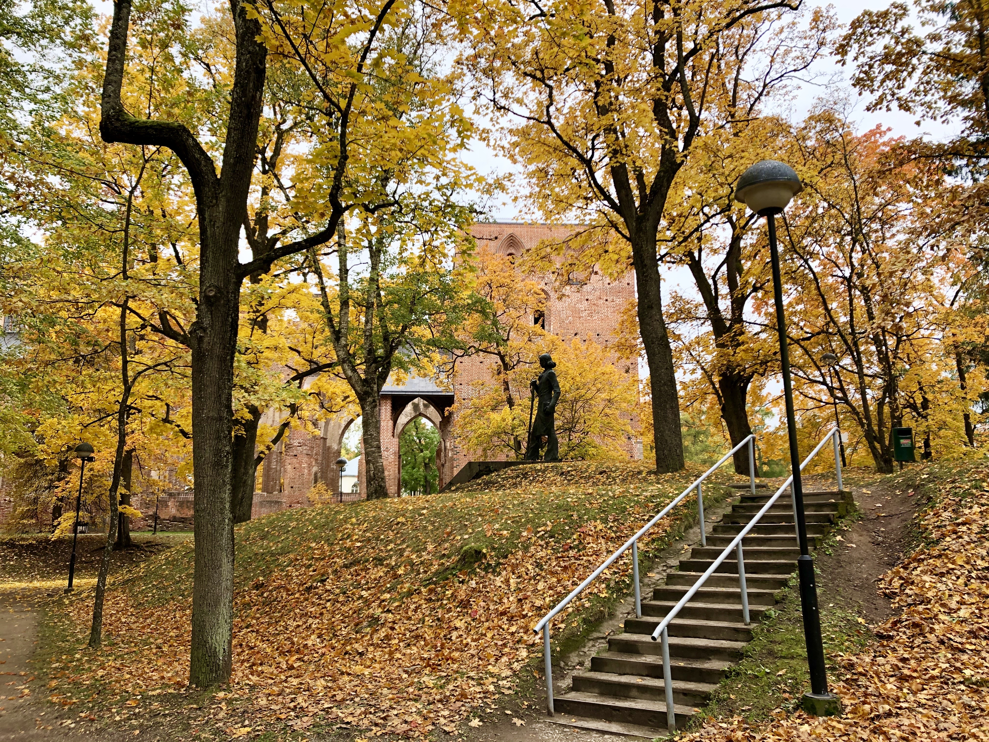 Domberg im Herbst