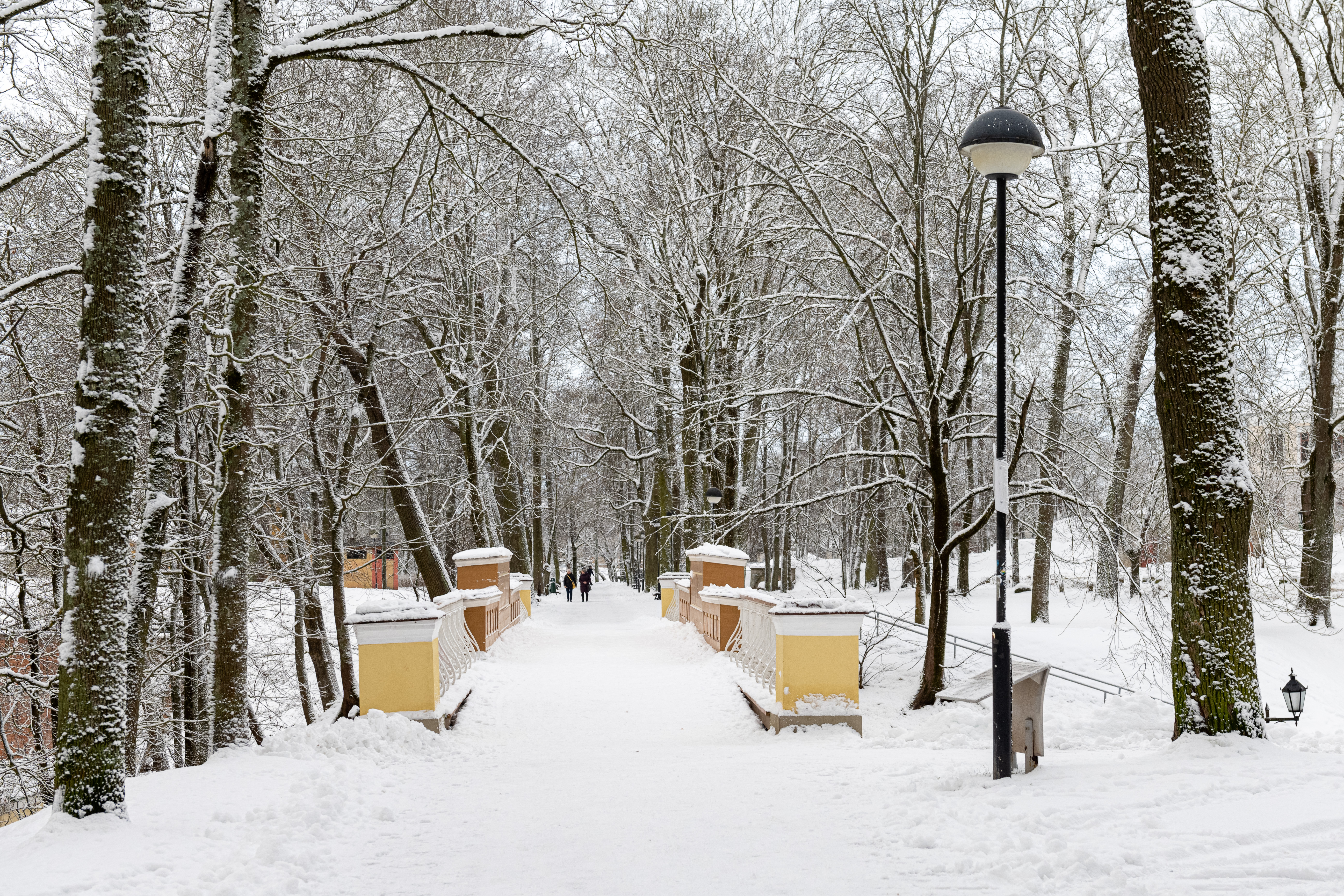 Toomemäe Park, a natural hill with a rich history, is one of the favorite places for Tartu residents to enjoy greenery without leaving the city. In th