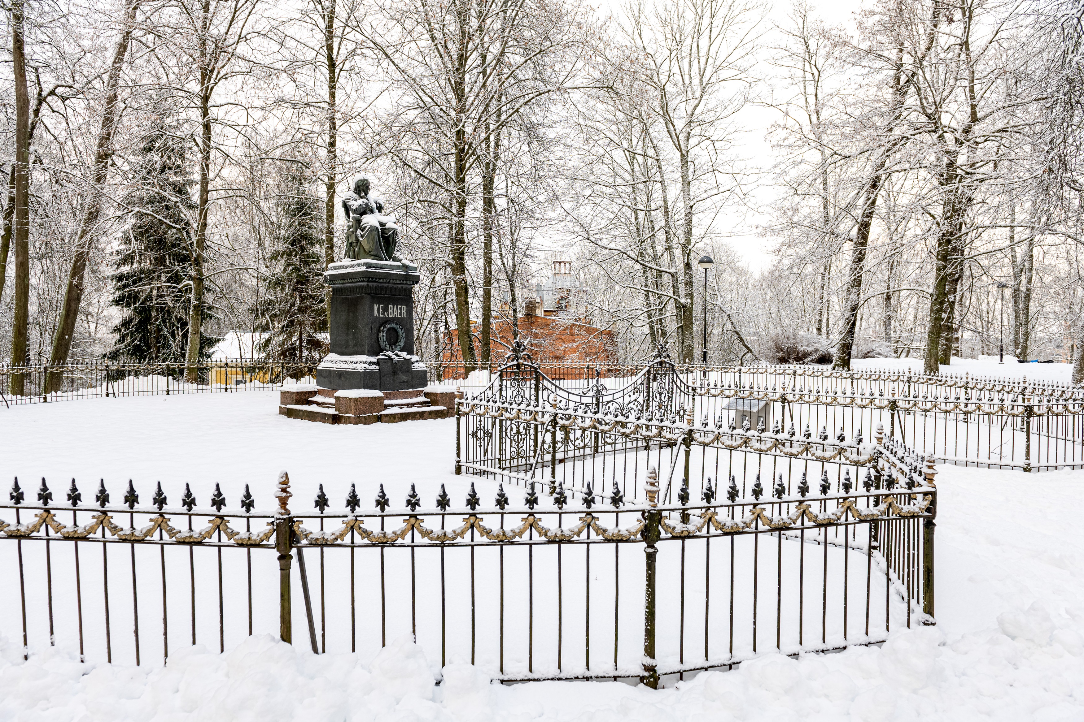 Karl-Ernst-von-Baer-Denkmal im Park auf dem Domberg