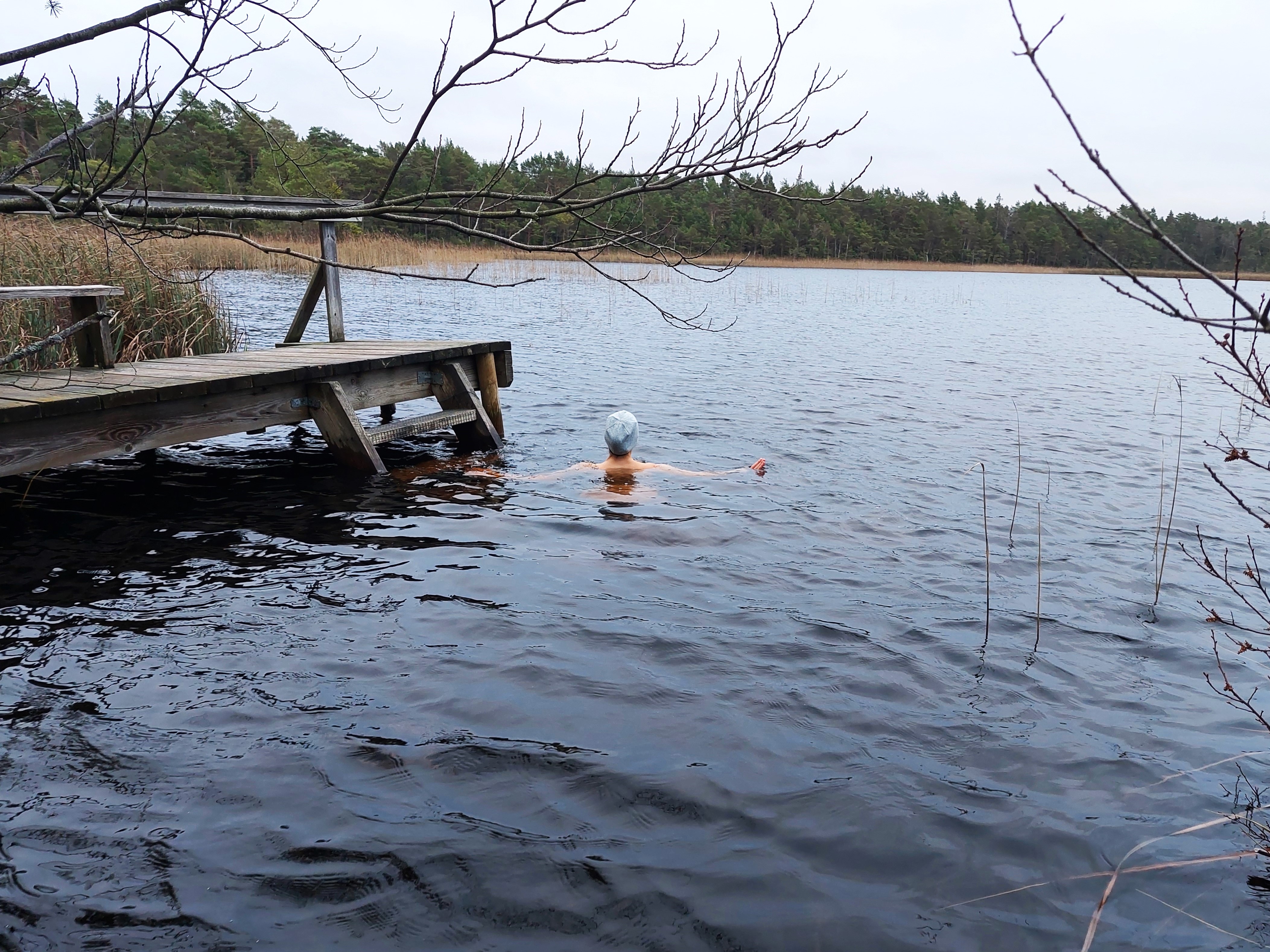 Suplus Toatse järves