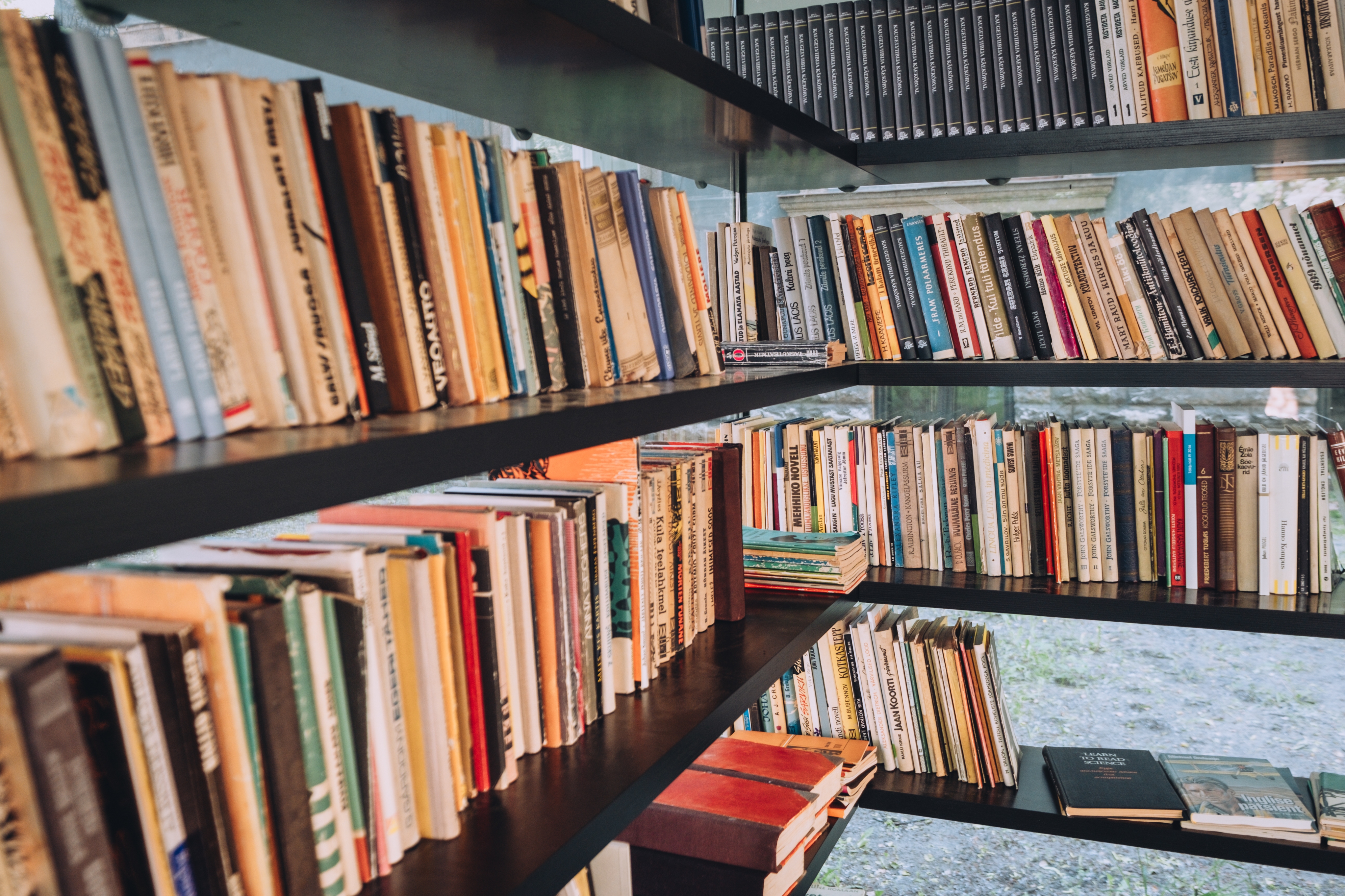 Books at Kadriorg Park