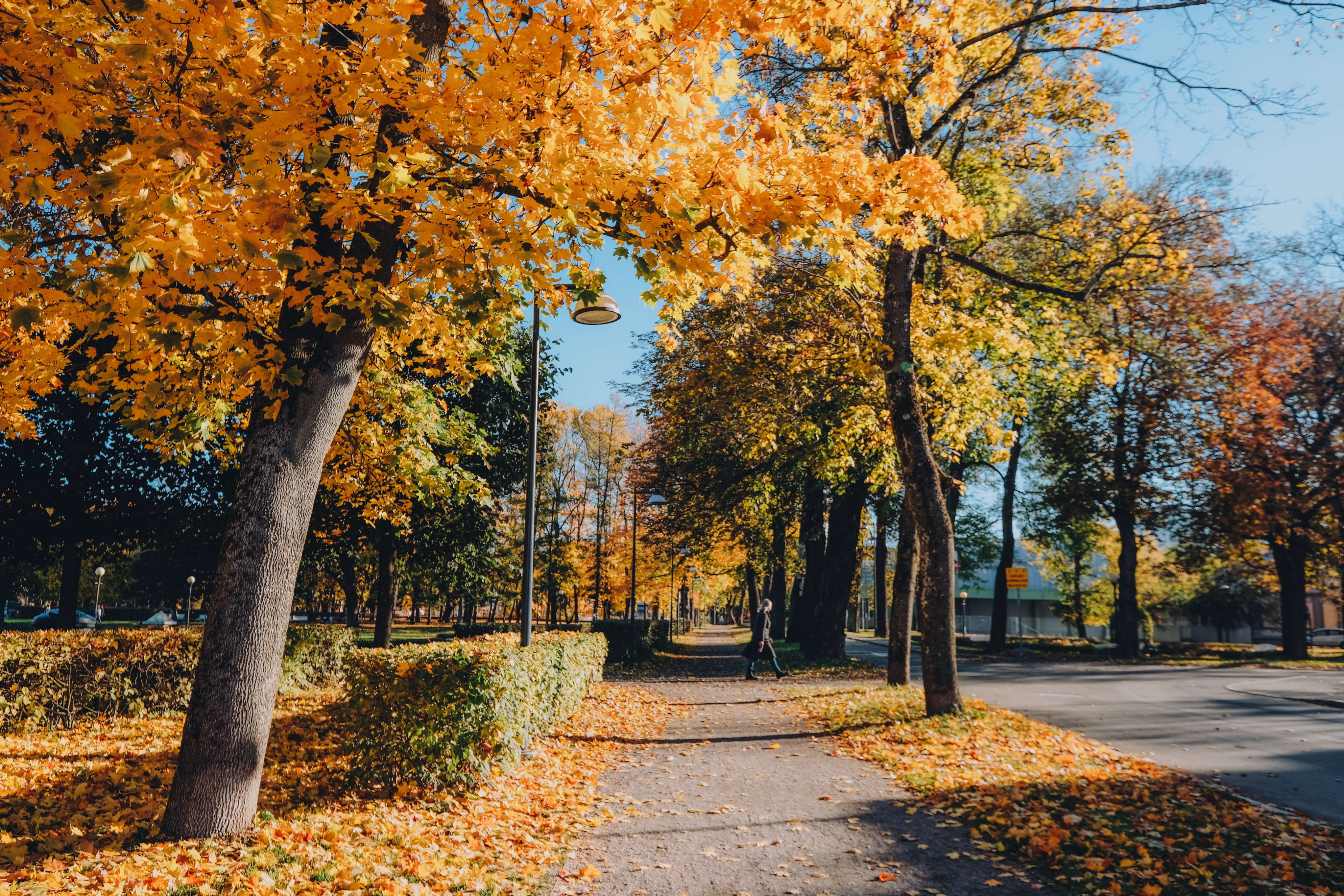 Autumn in Tallinn