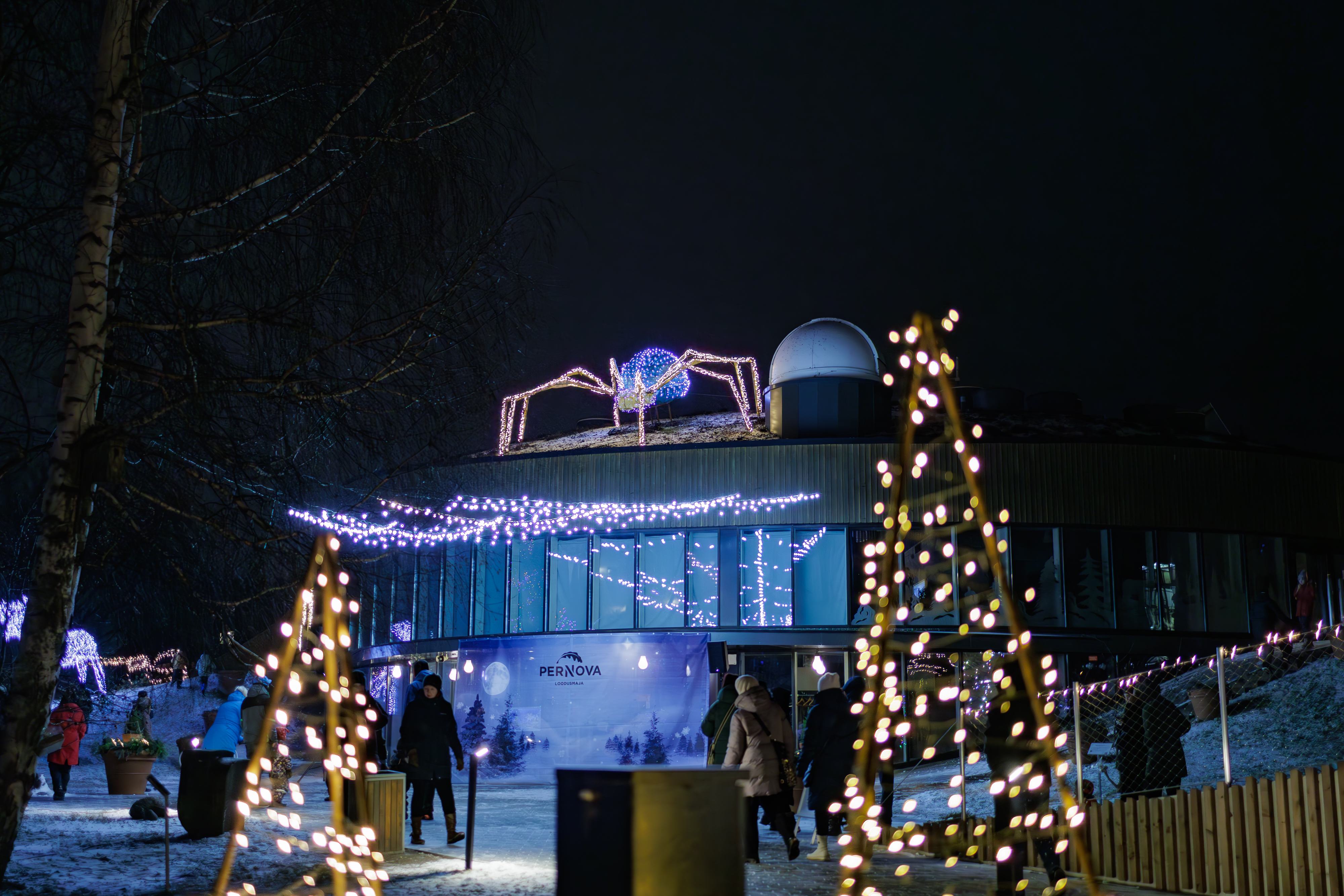 Talvevalguse promenaad Pärnus Loodusmajas