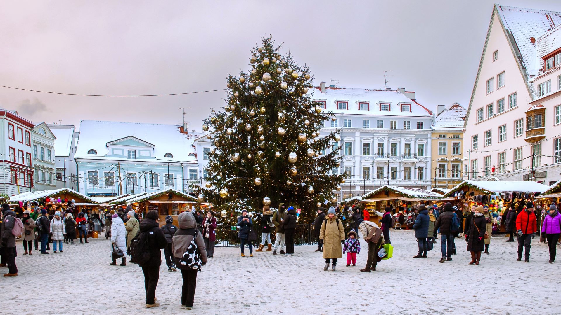 Tallinna Jõulupuu