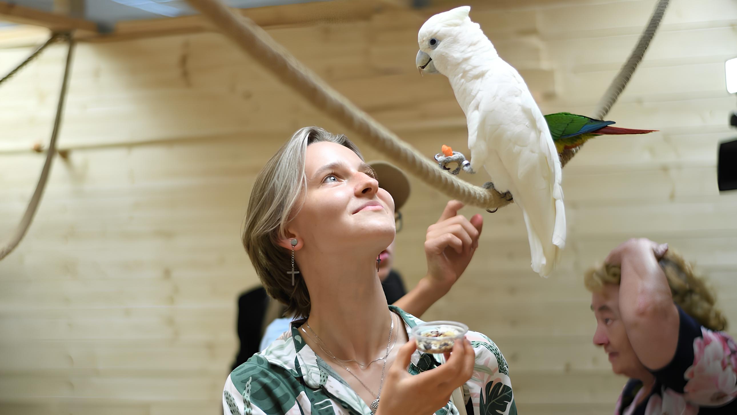 Weißer Hündchen isst Karotte