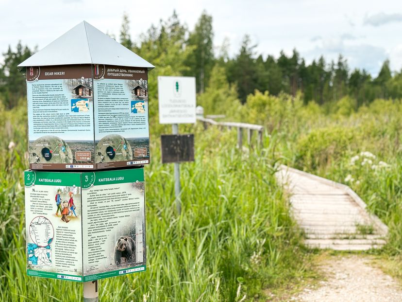 Tudu bog lake and forest hut