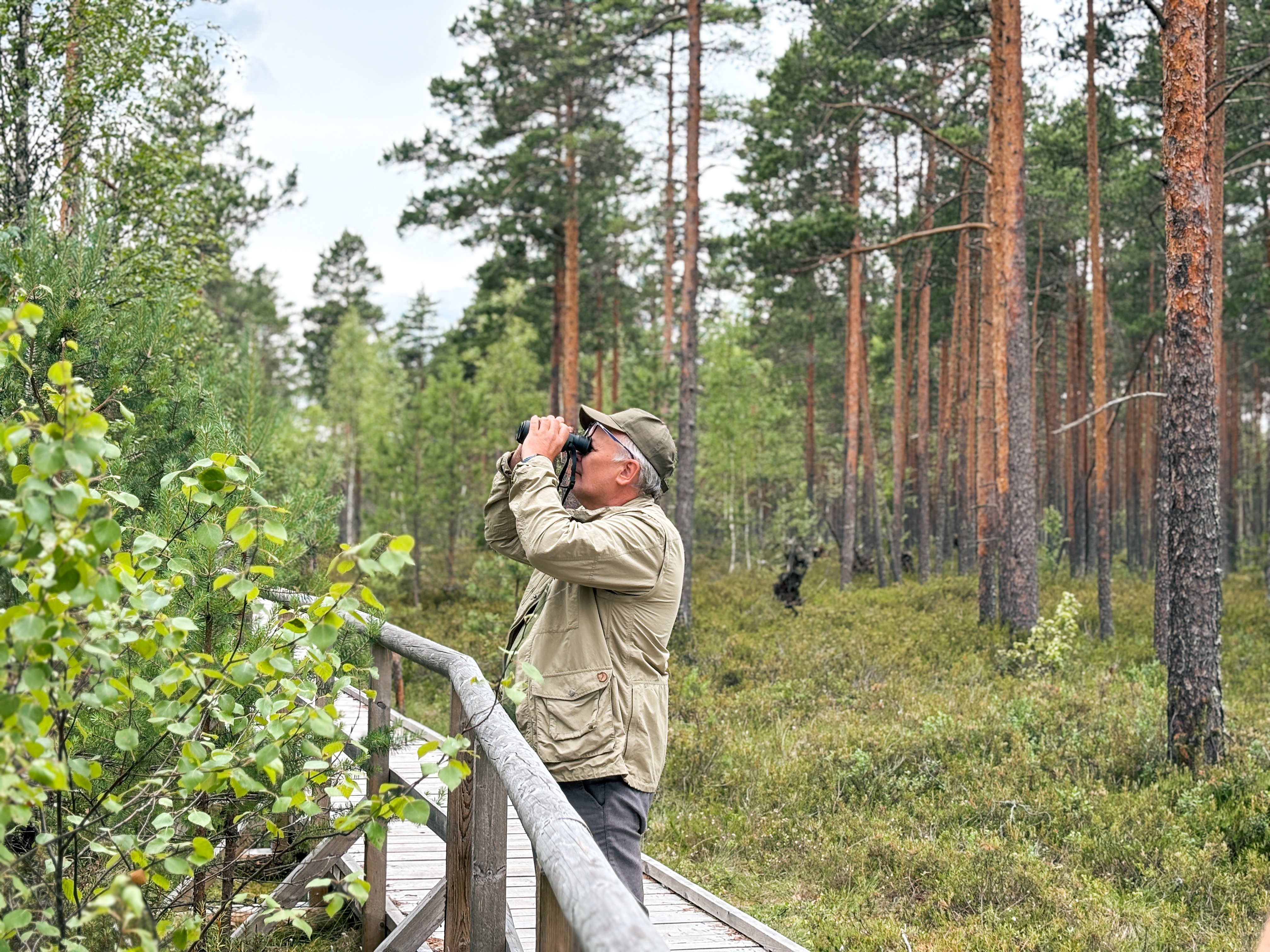 Tudu matkarajal saab linde vaadelda