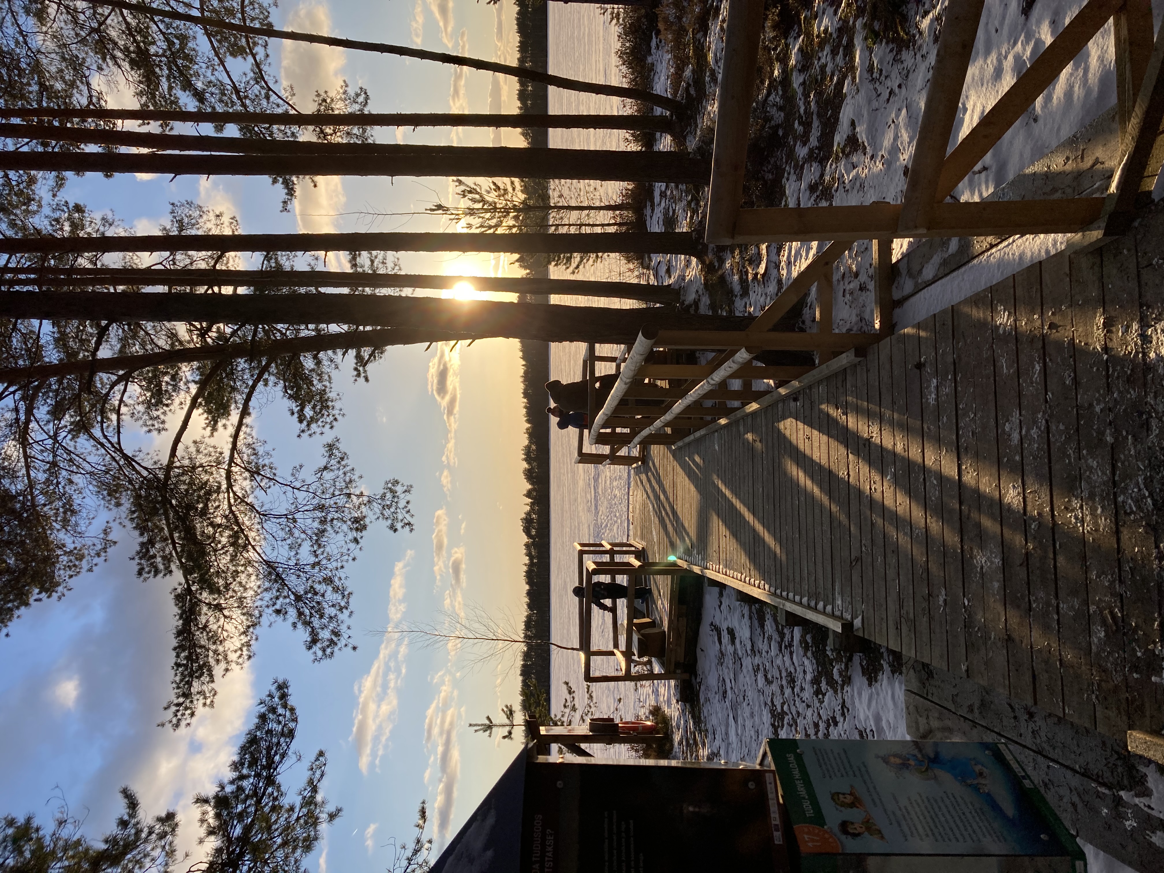 Tudu bog lake and forest hut