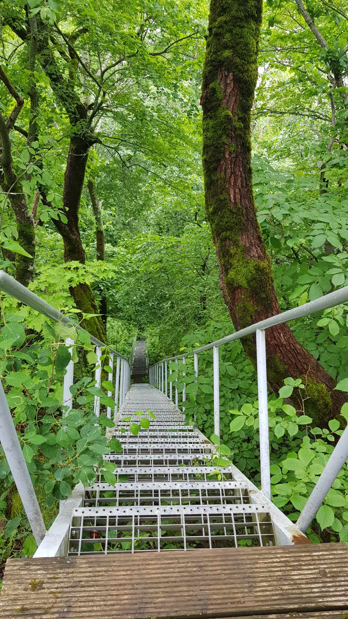 Kivisilla joa juurest mere äärde laskuv trepp