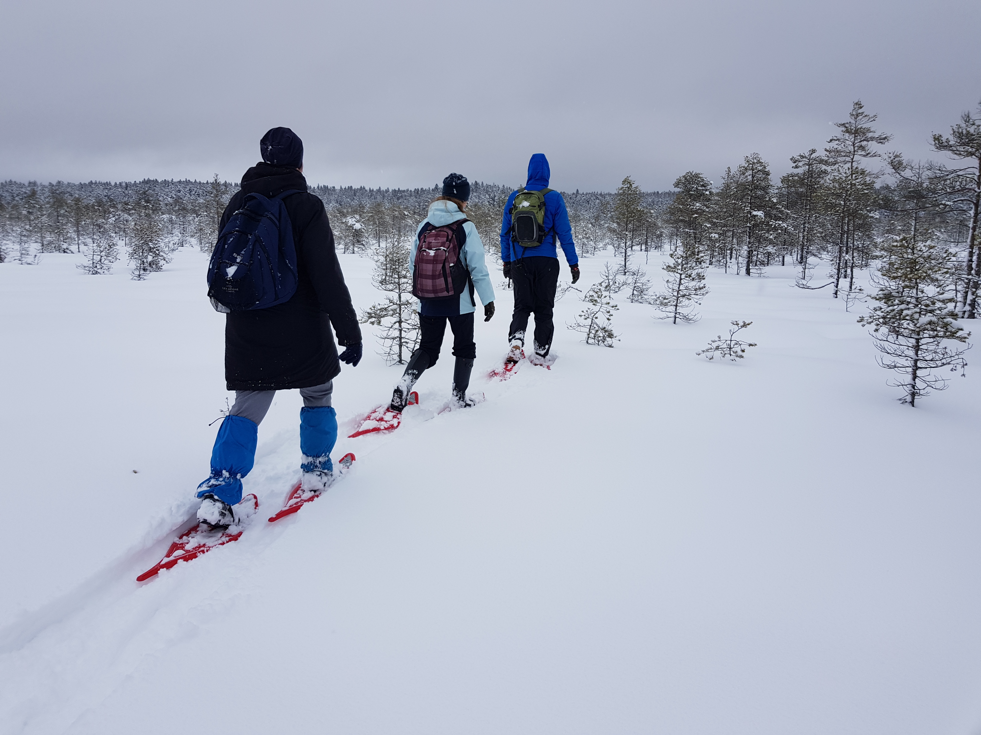 Jõulumatkad Alutaguse Matkaklubiga