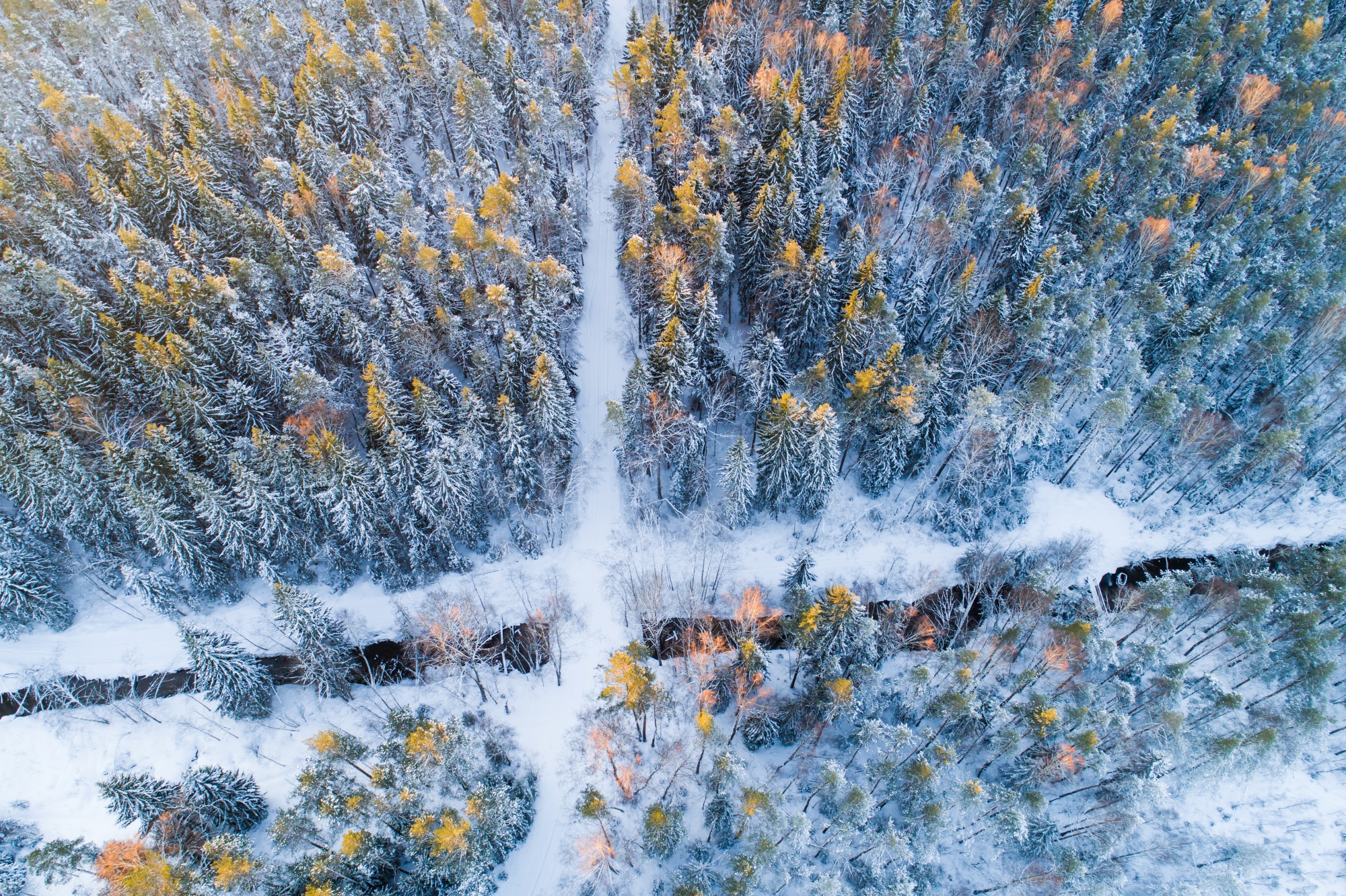 Kurtna järvestiku metsad õhust vaadatuna