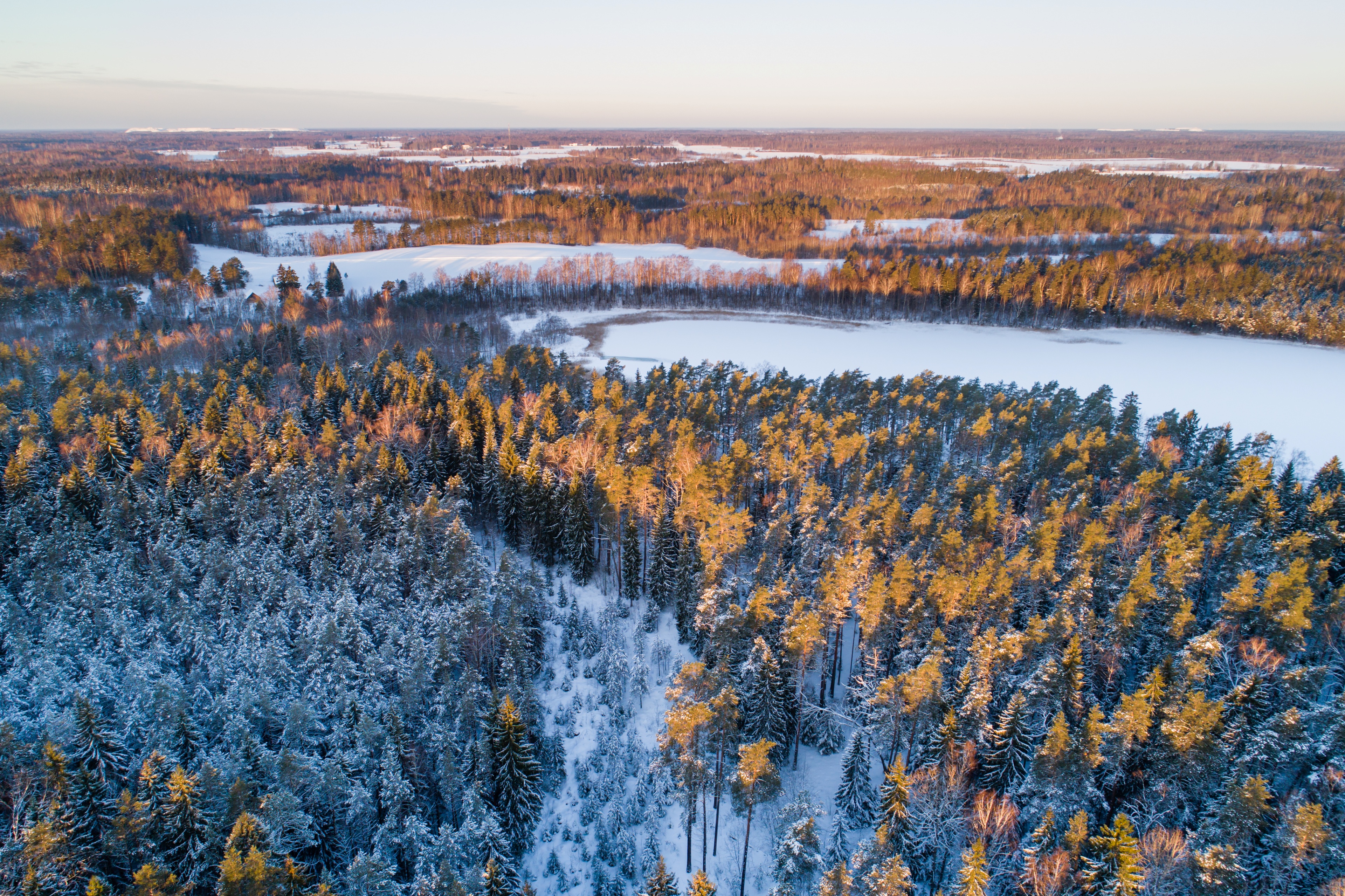 The Kurtna lake district, located in Alutaguse Rural Municipality, is one of Estonias most lake-rich areas, where 42 lakes can be found in an area of 