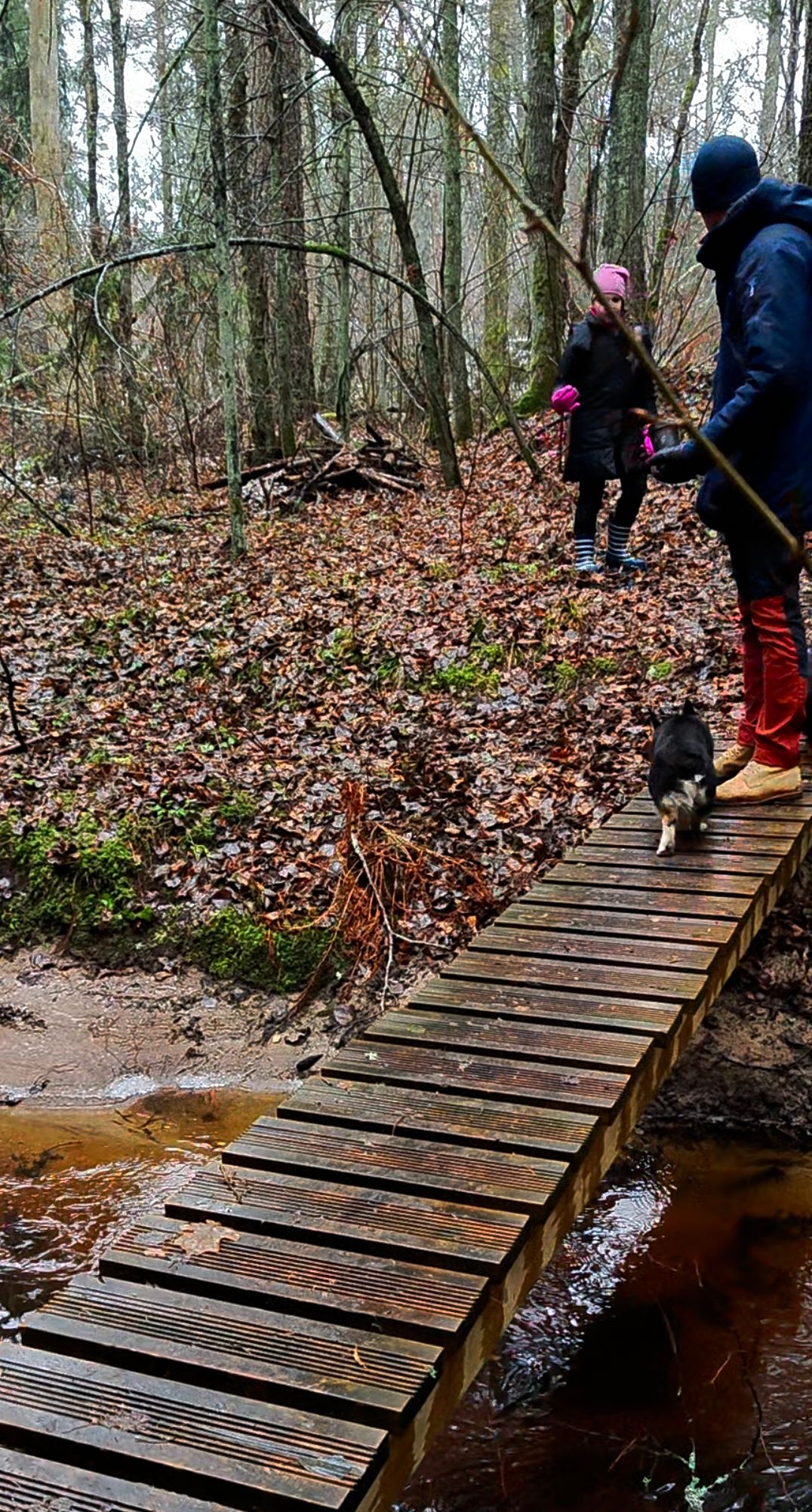 Kaberla oja matkarajal koos lemmikutega