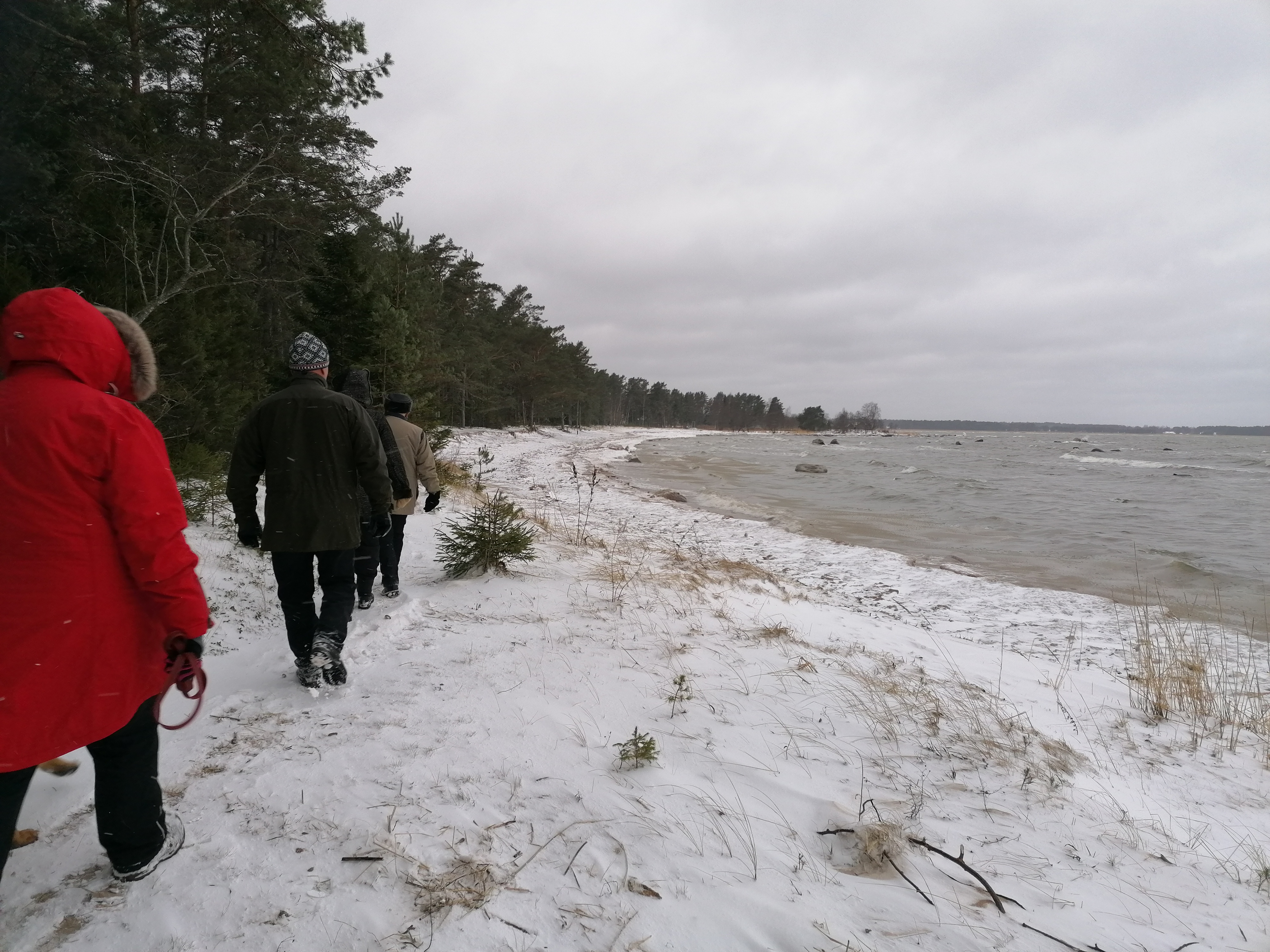 During the trip, we will explore Juminda or Pärispea peninsula in Lahemaa. Just as the local nature – special, rustic, and tough – the coastal languag