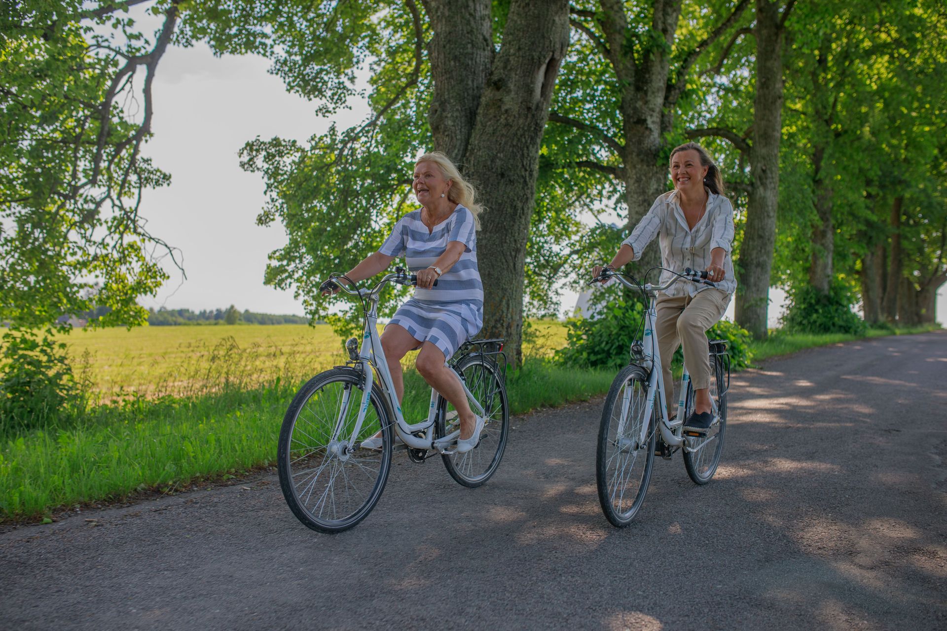 Vihula Manor bike rental in Lahemaa National Park