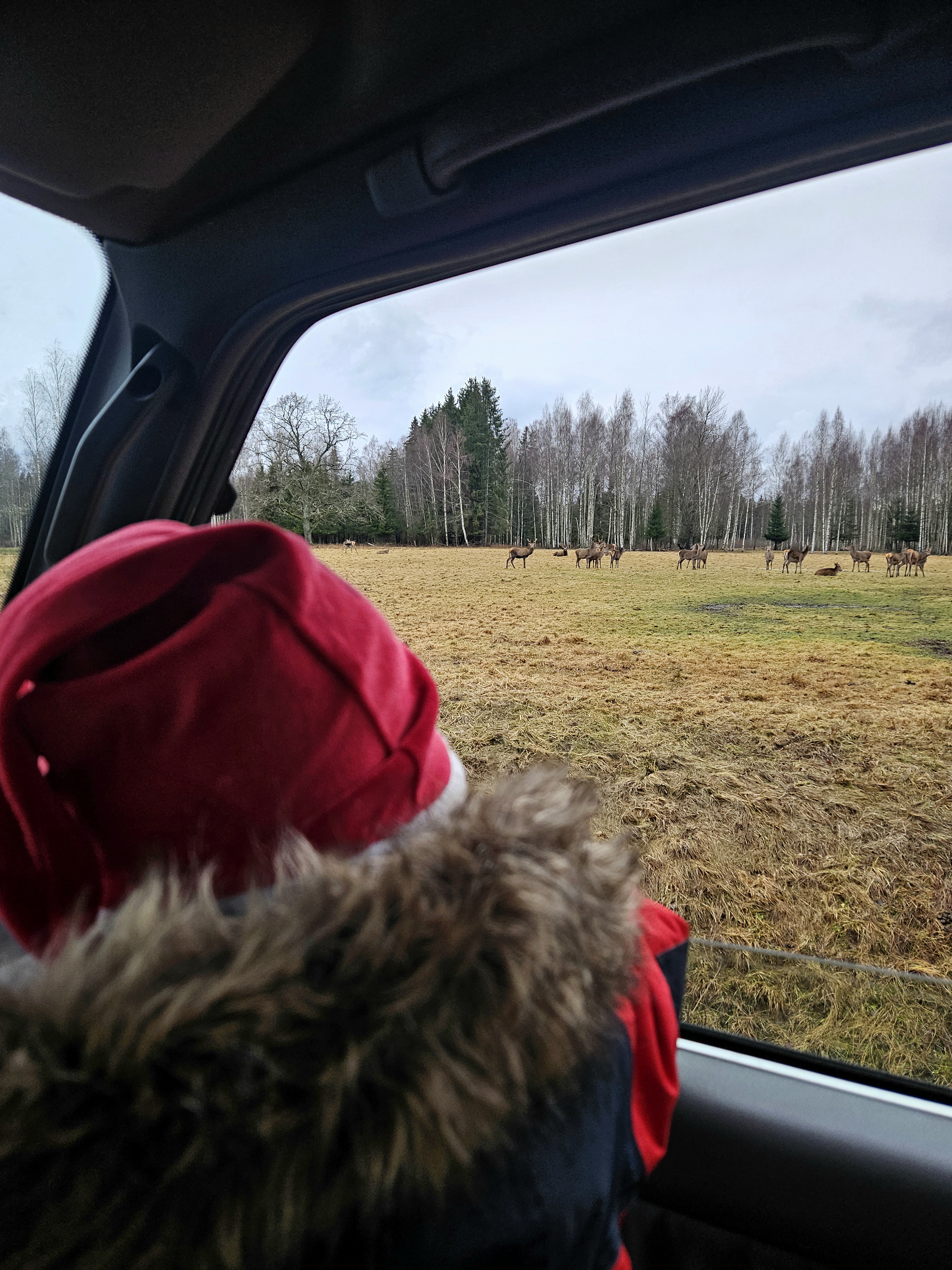 The wildlife watching safari at Toosikannu in winter