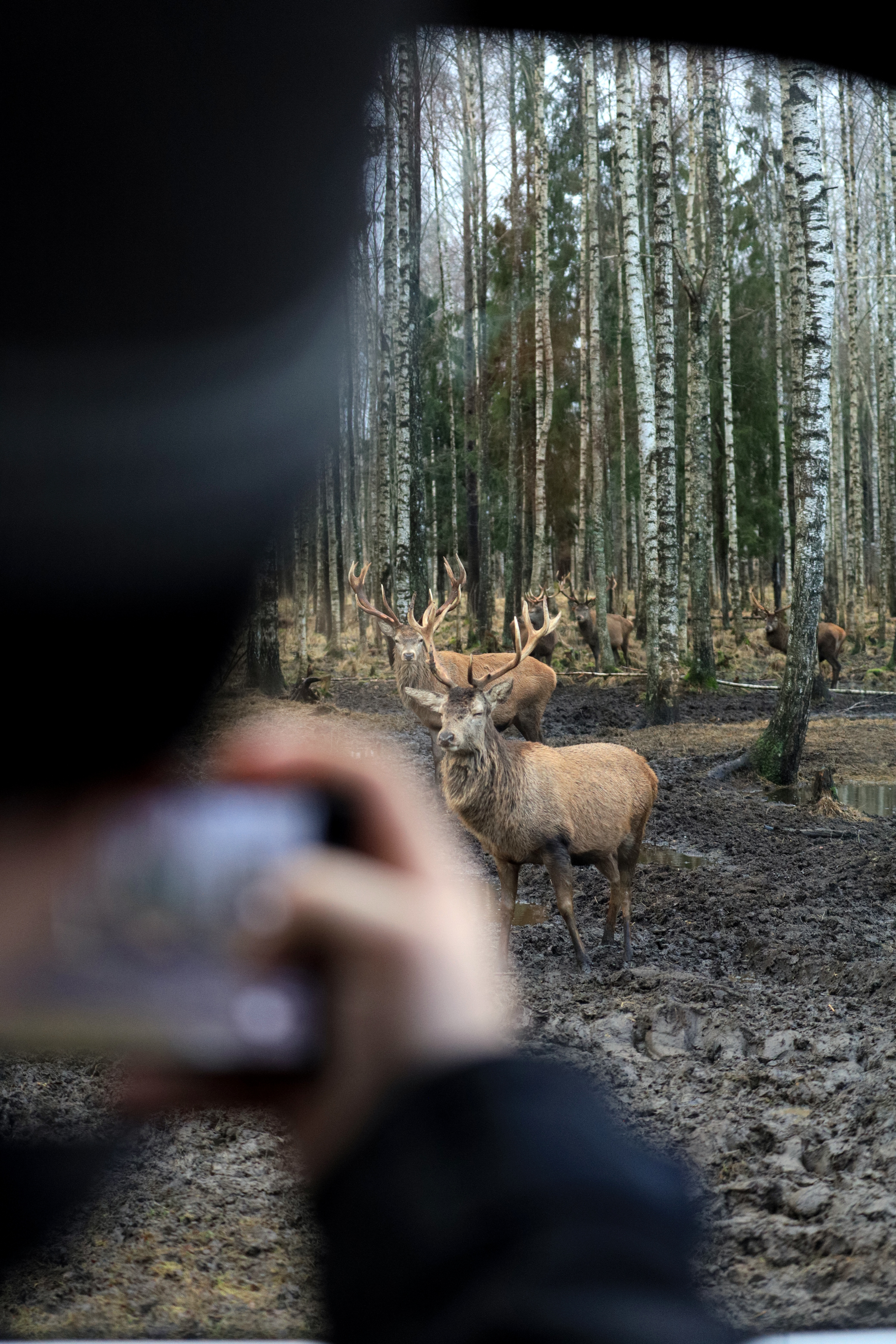 The wildlife watching safari at Toosikannu in winter