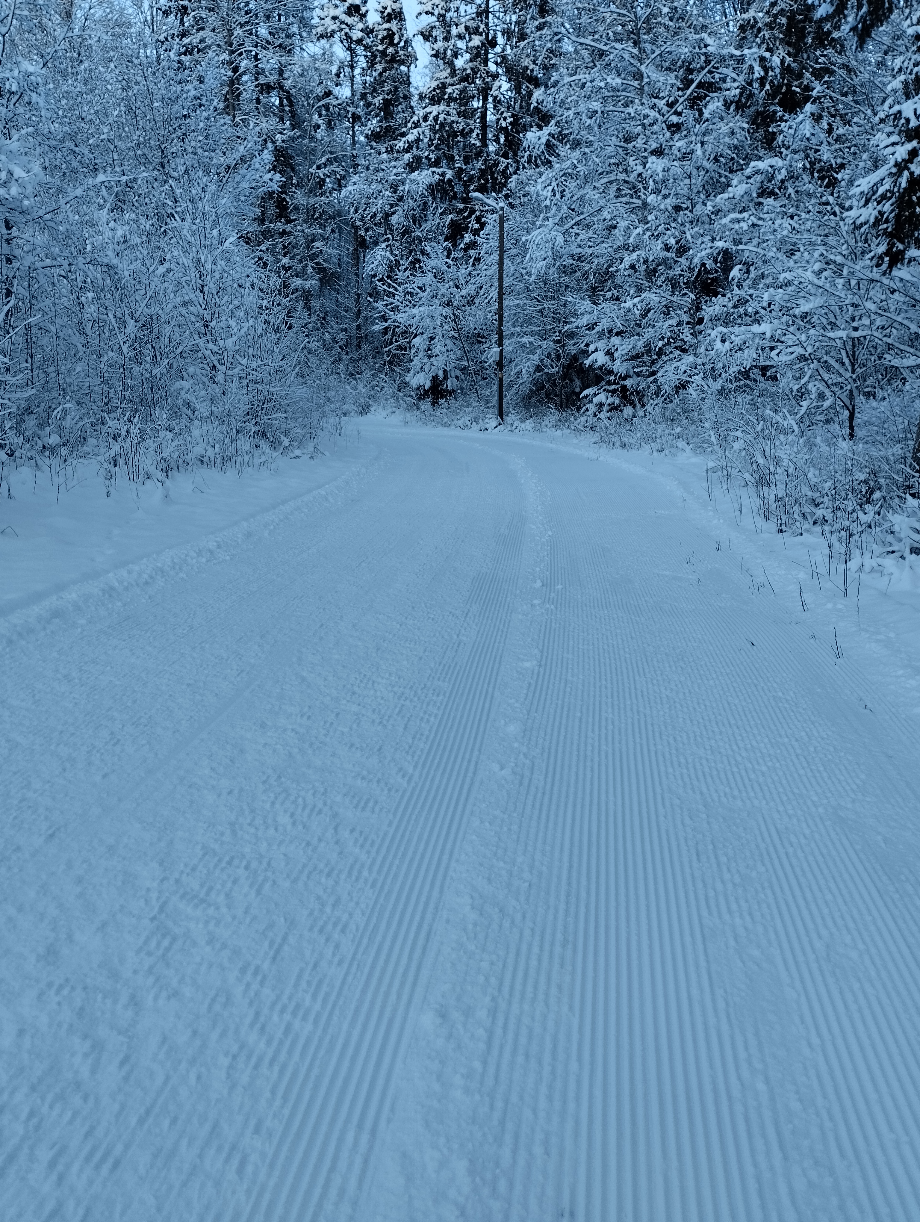 Järva valla tervisrajad on talvel alati korras