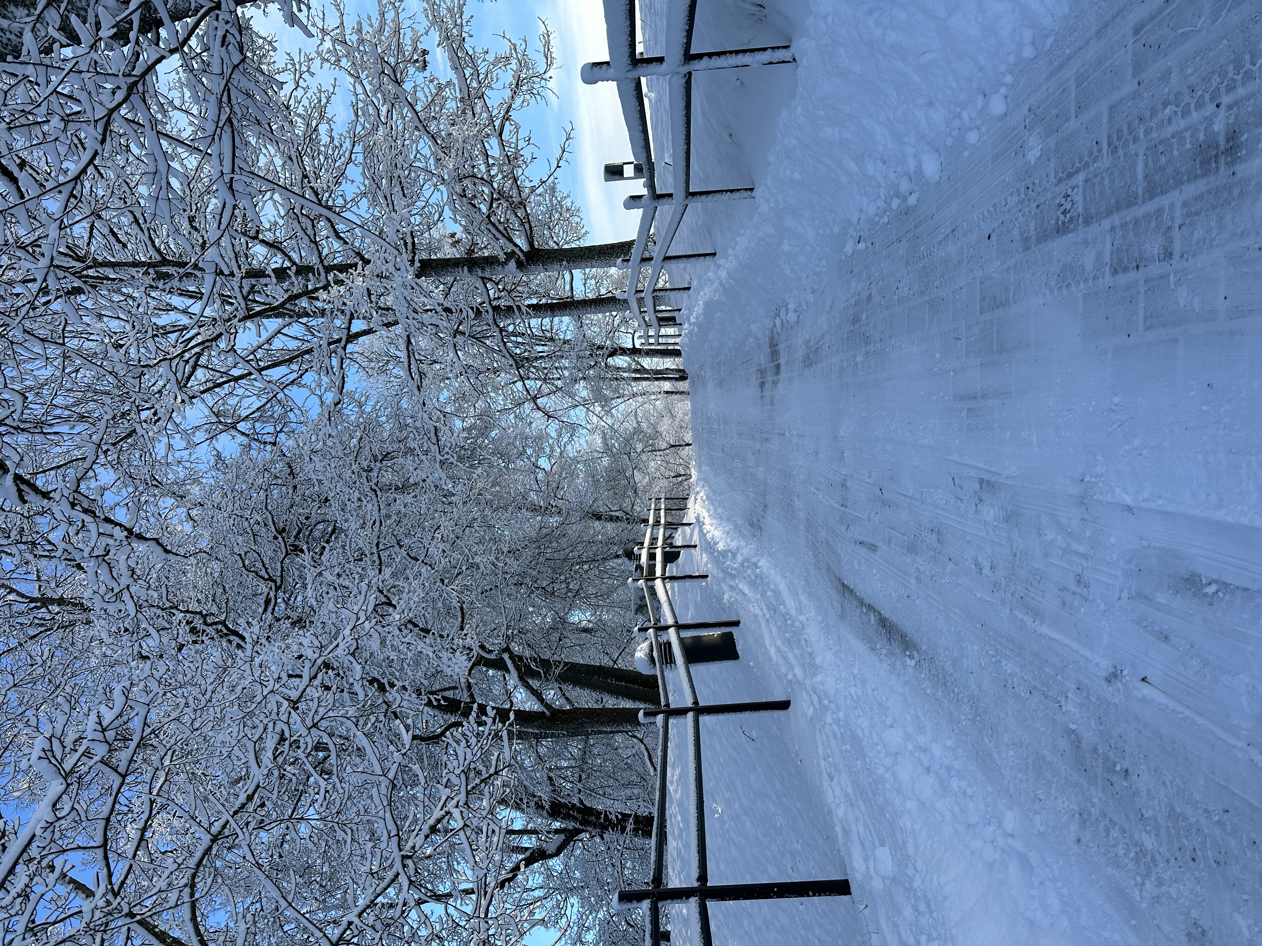 Winter road on Paide vallimägi