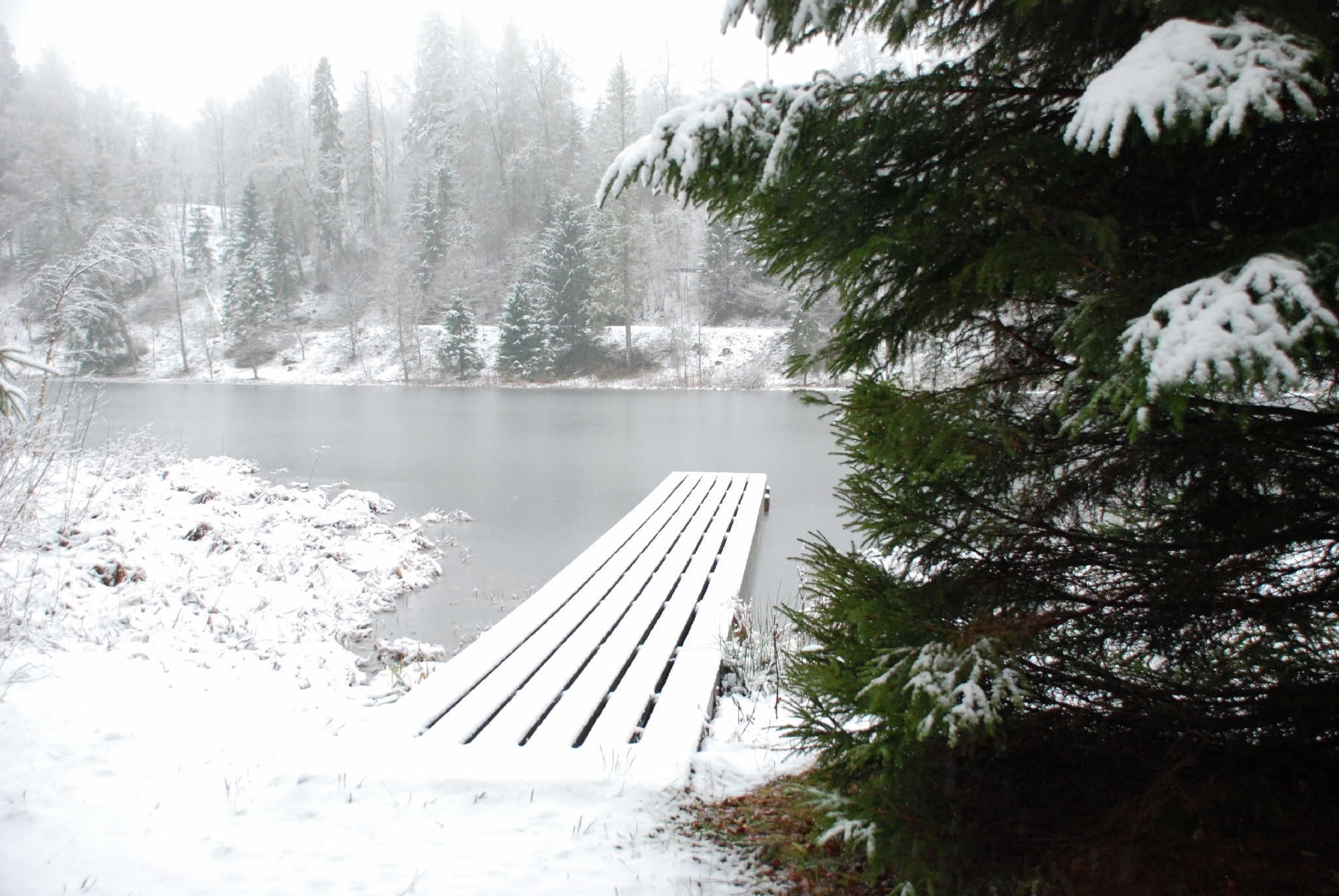 Neeruti eesjärv talvel