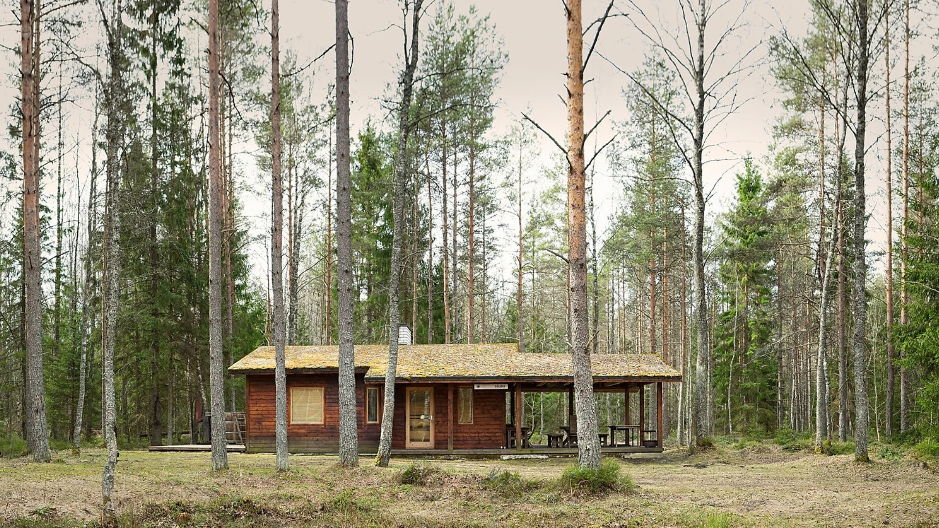 Pillapalu Forest Retreat saunamaja