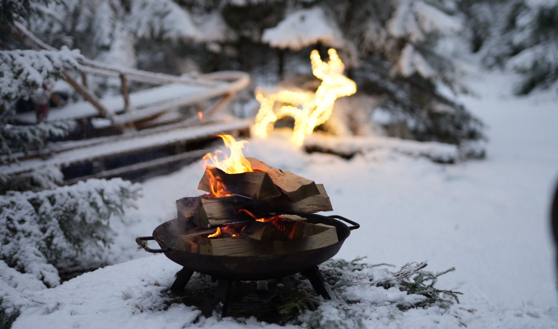 After the sled dog ride, a warming bonfire and tea wait