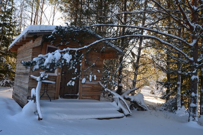 Korjuse Moori metsaonn