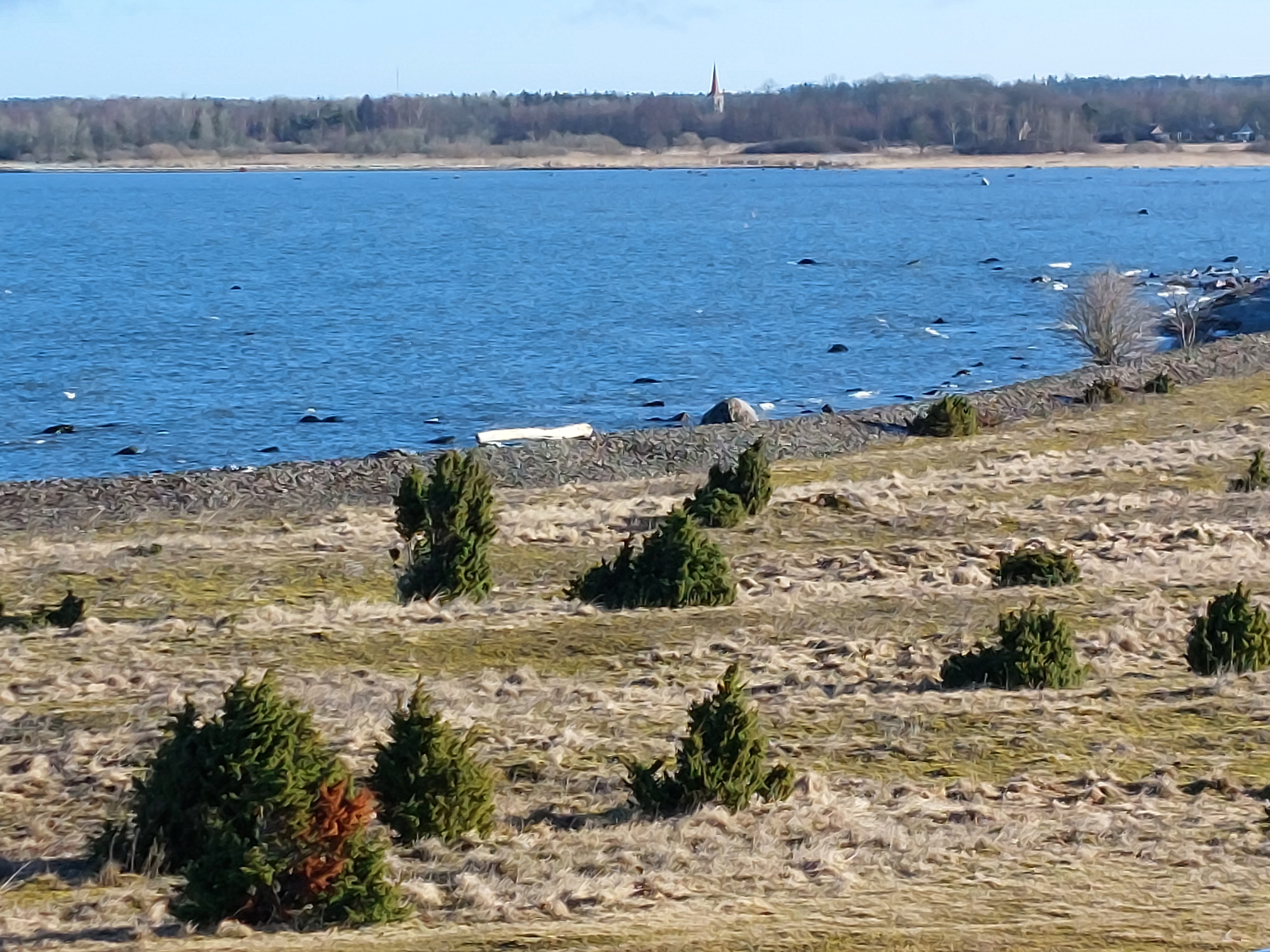 Campingu majutuse tagant vaade, merele