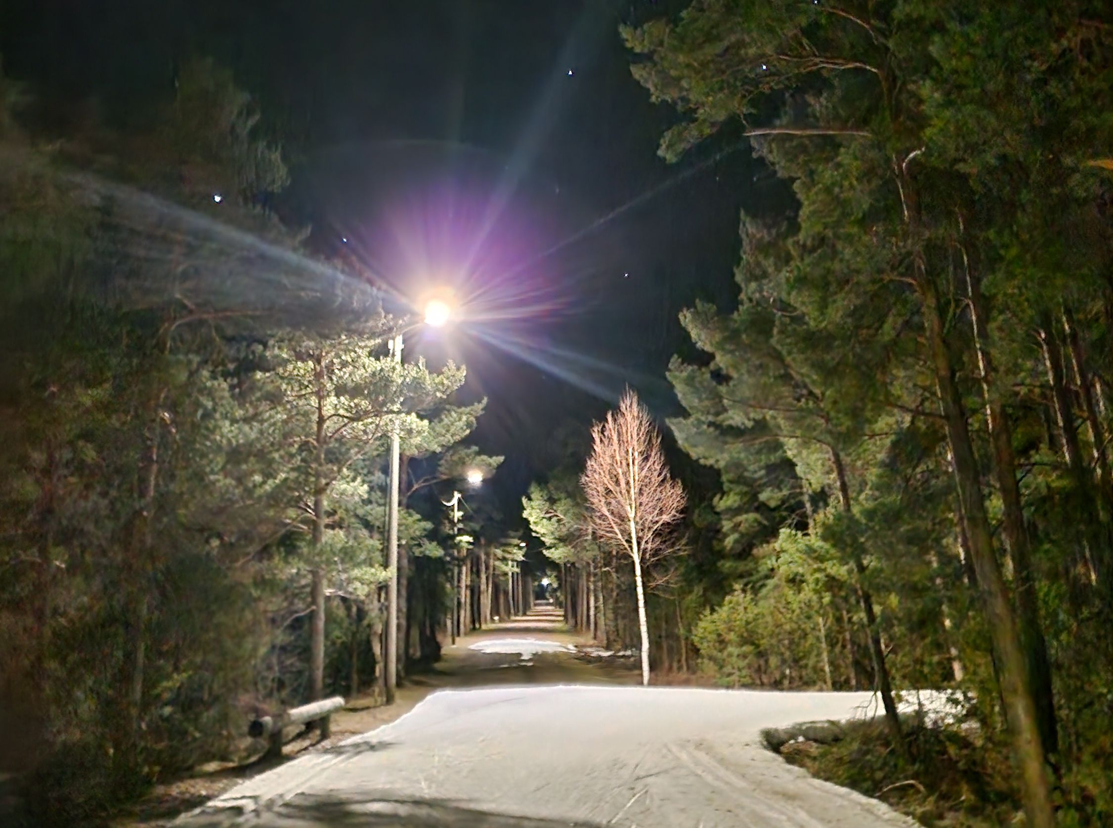 Hiking tracks in Kuressaare Health Park