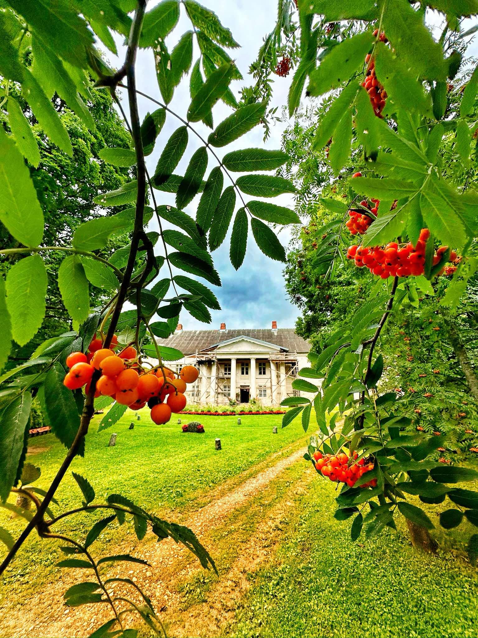 Herbstliche Vogelbeeren im Kirna Herrenhaus