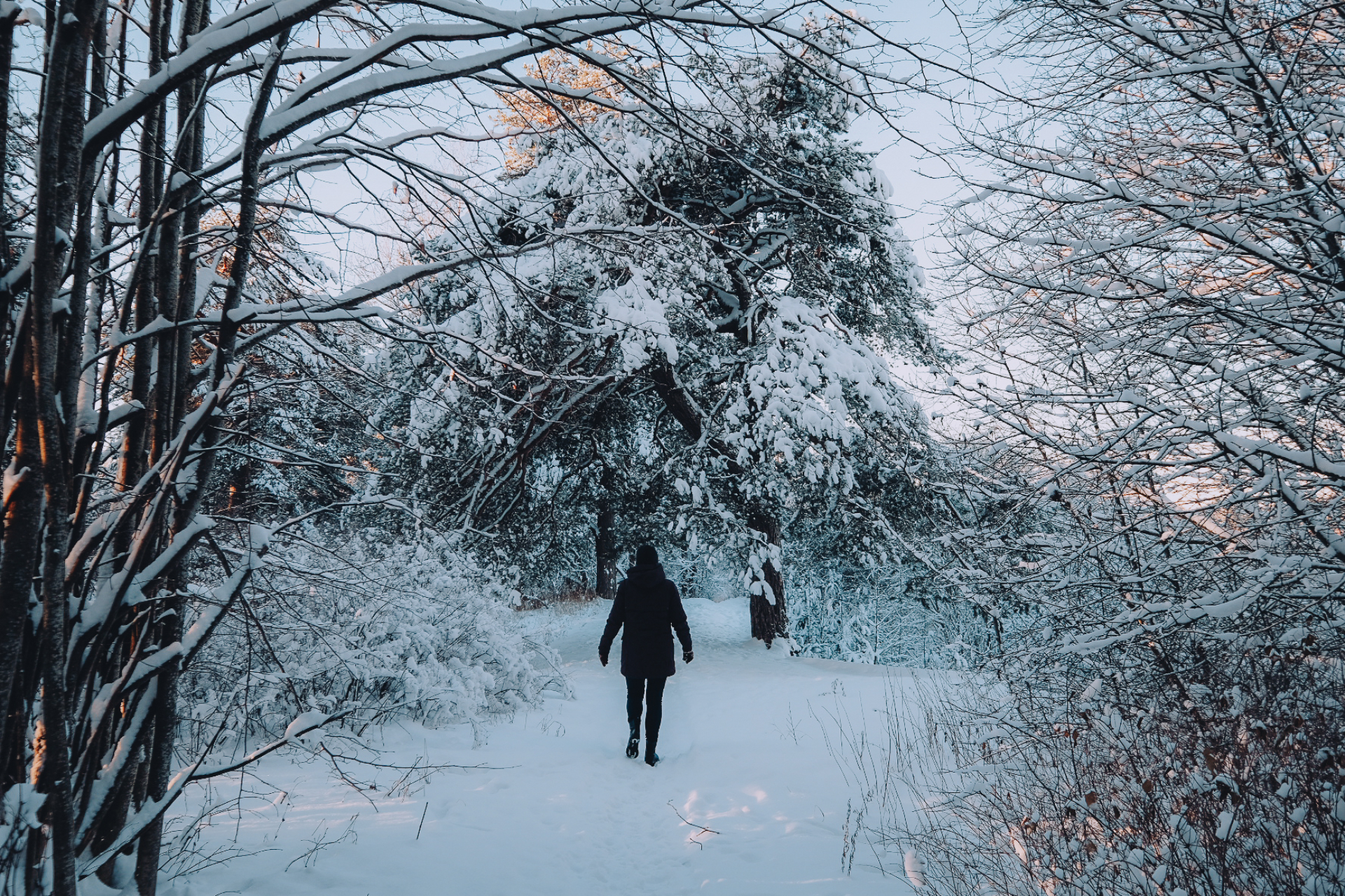 This 8 kilometre trail begins in the car park located on the north-east side of Harku forest along Tähetorni Street. It runs along forest paths and tr