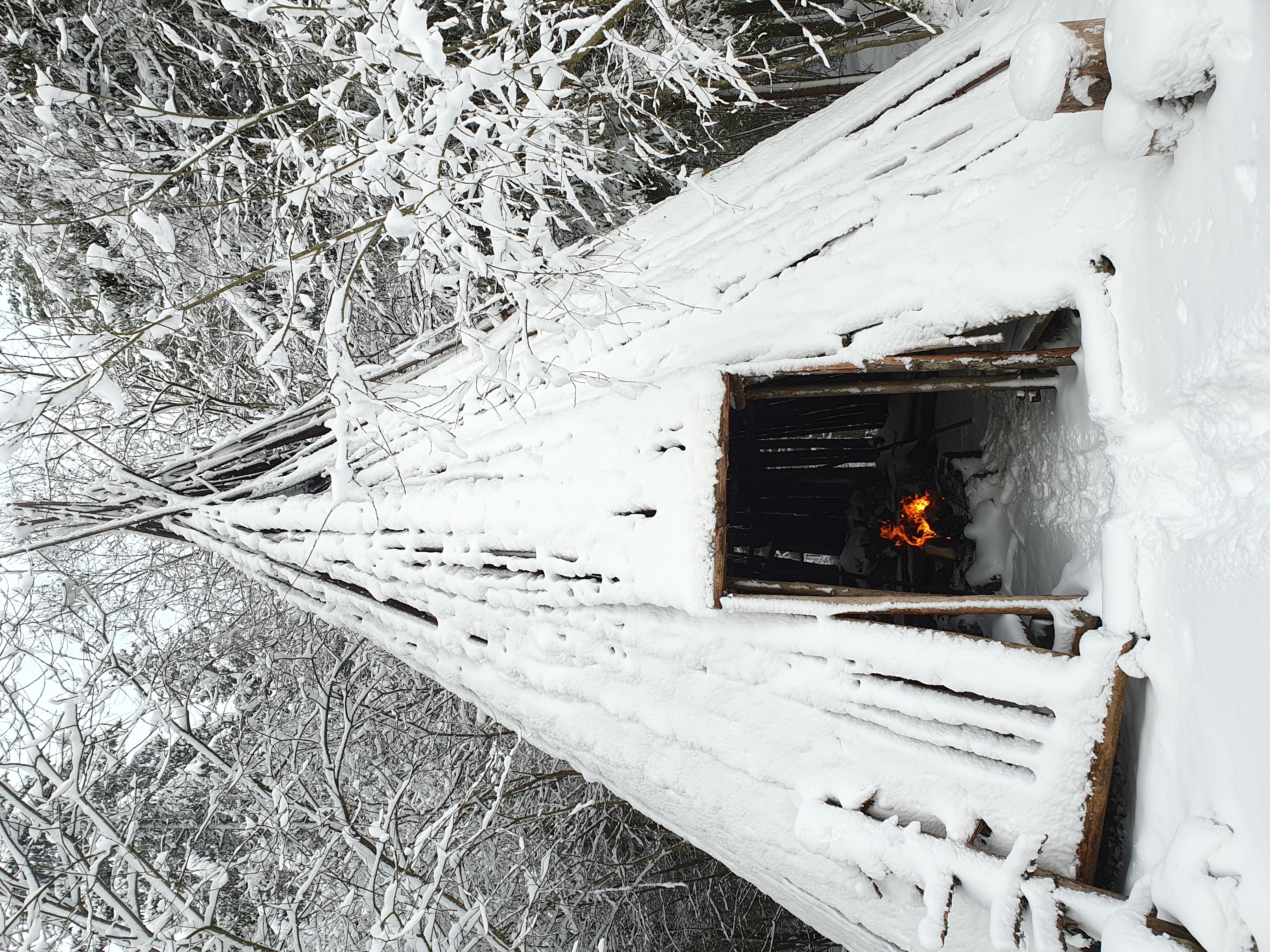 Schlittenfahrt in der winterlichen Natur von Pärnumaa