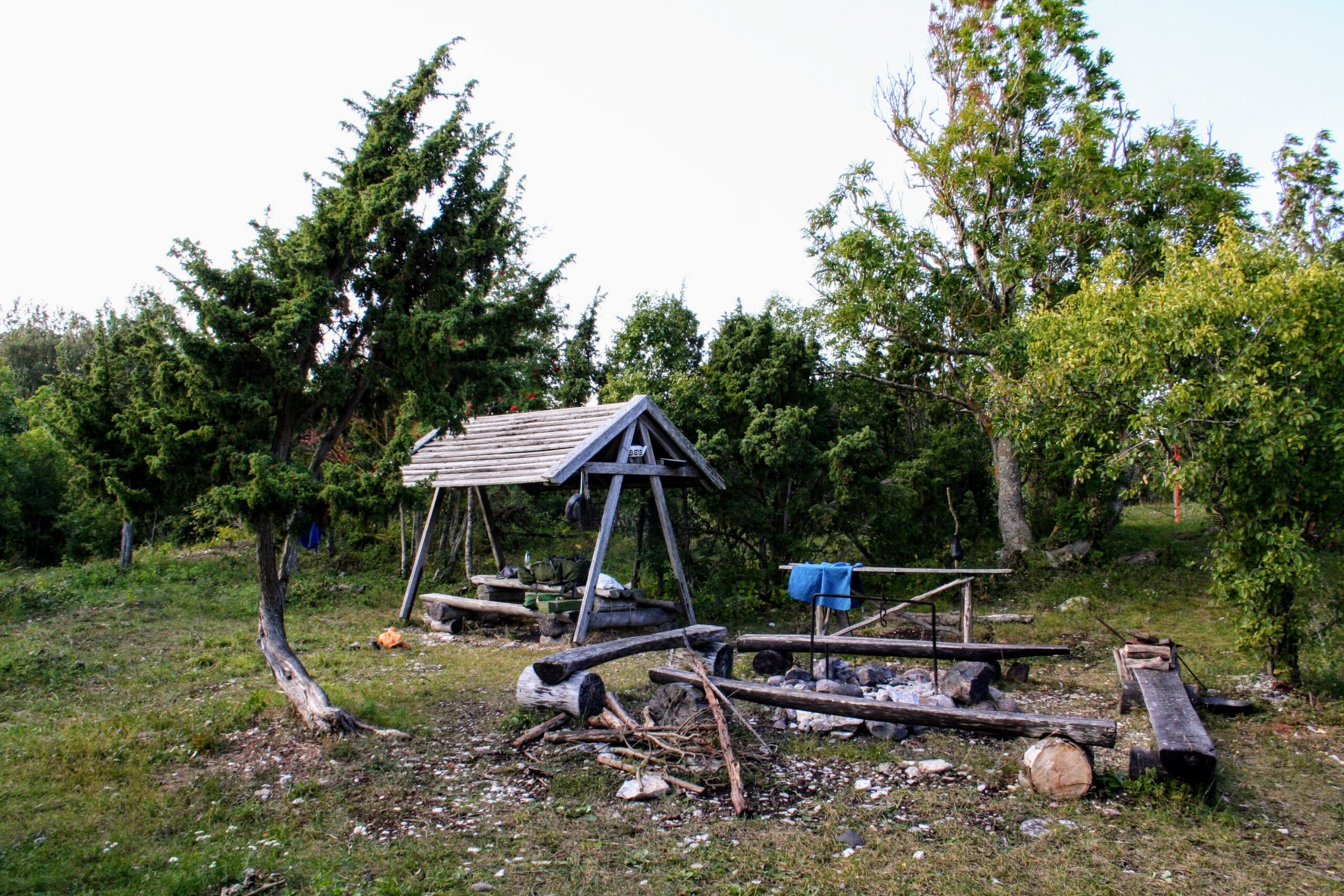 Kõrgelaid