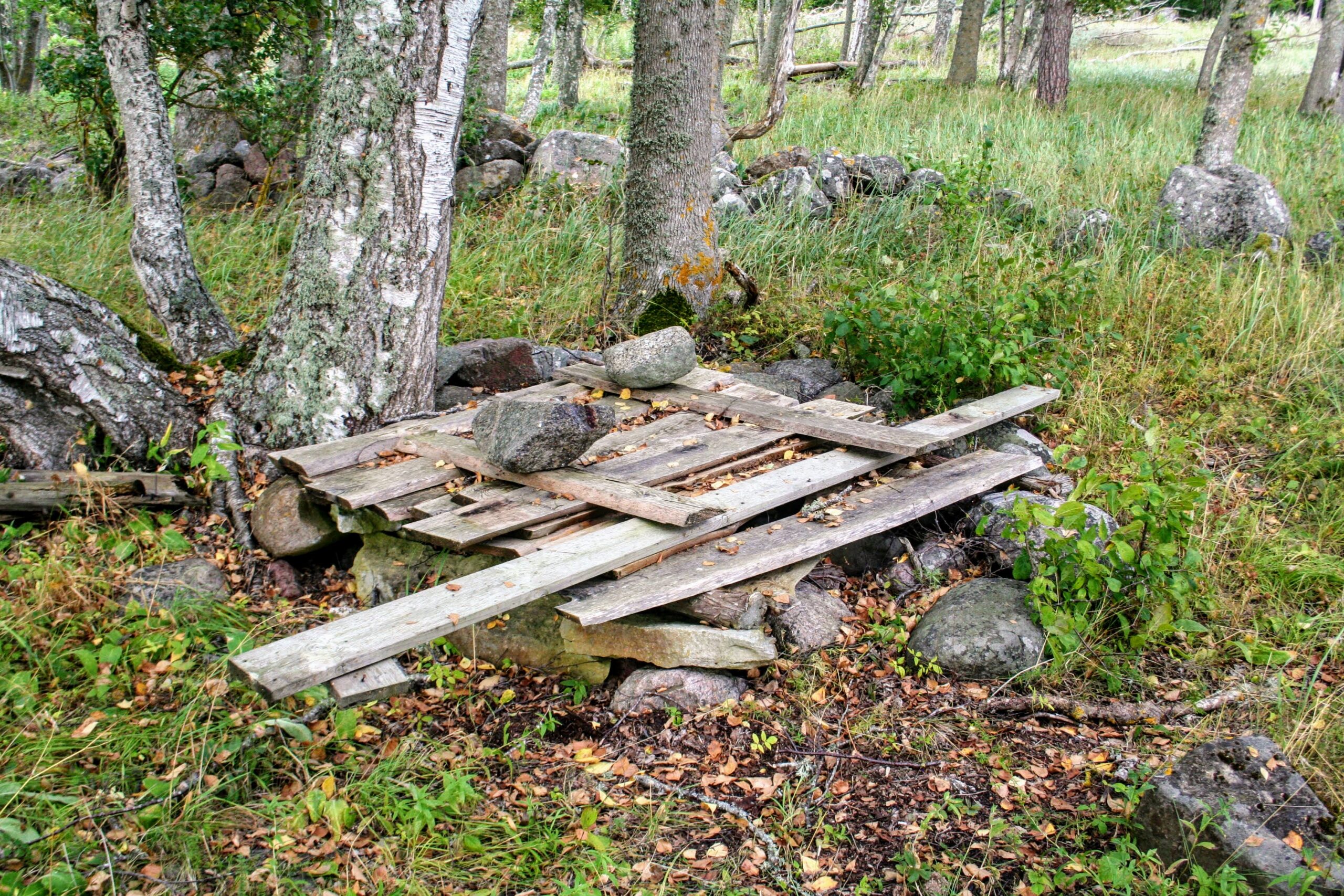 Kõrgelaid