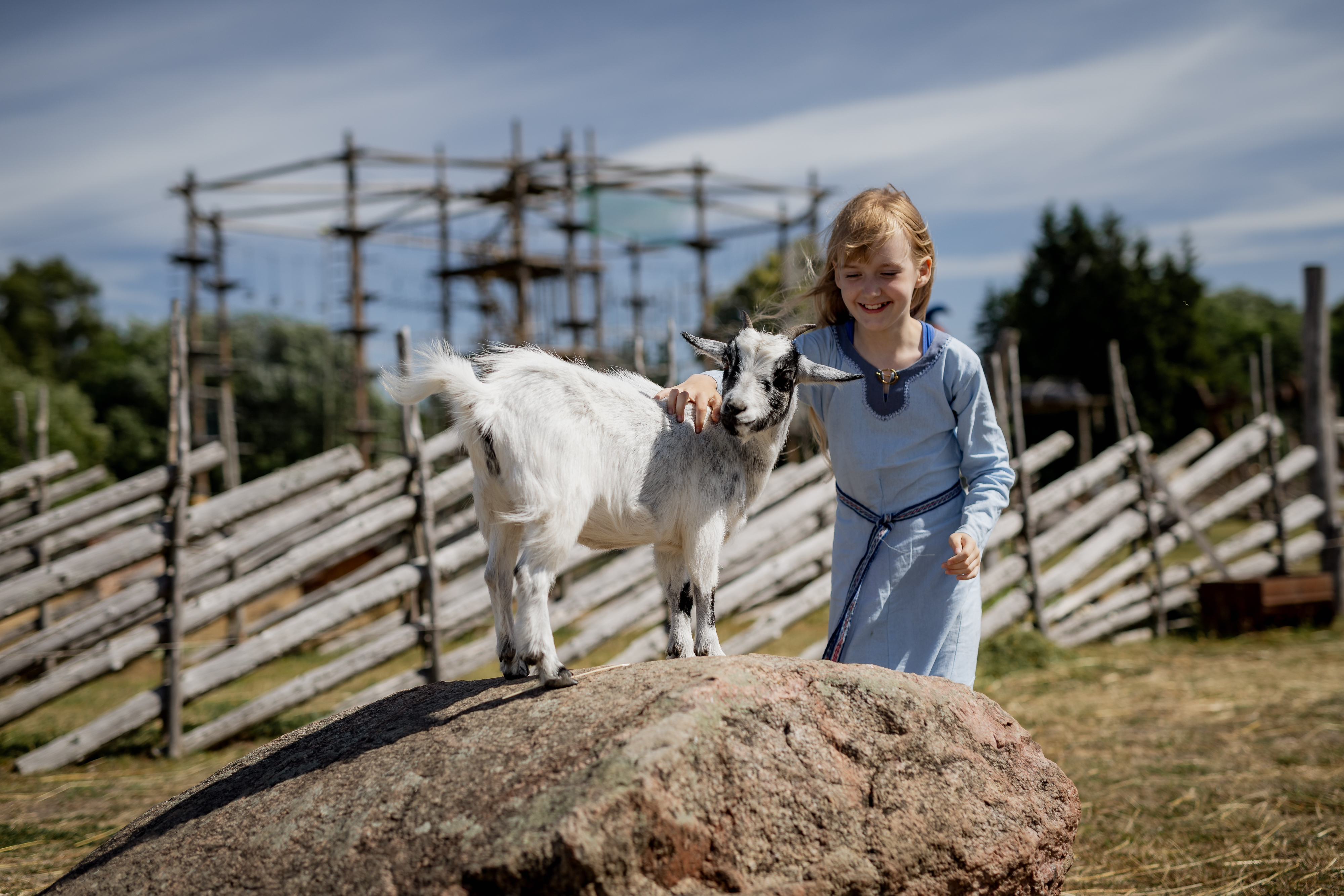 Asva viikingiküla looma- ja linnupark