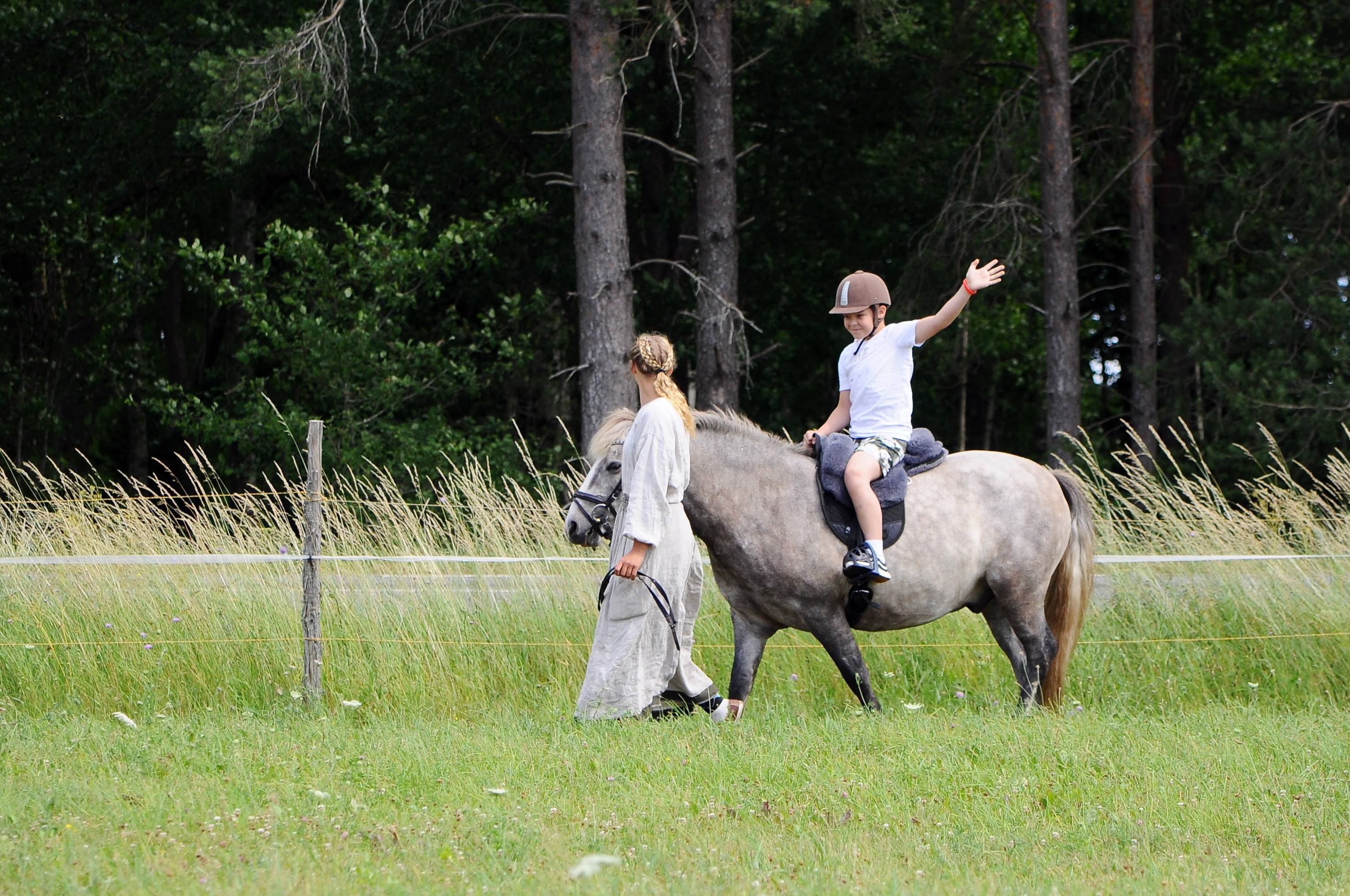 Asva viikingiküla looma- ja linnupark